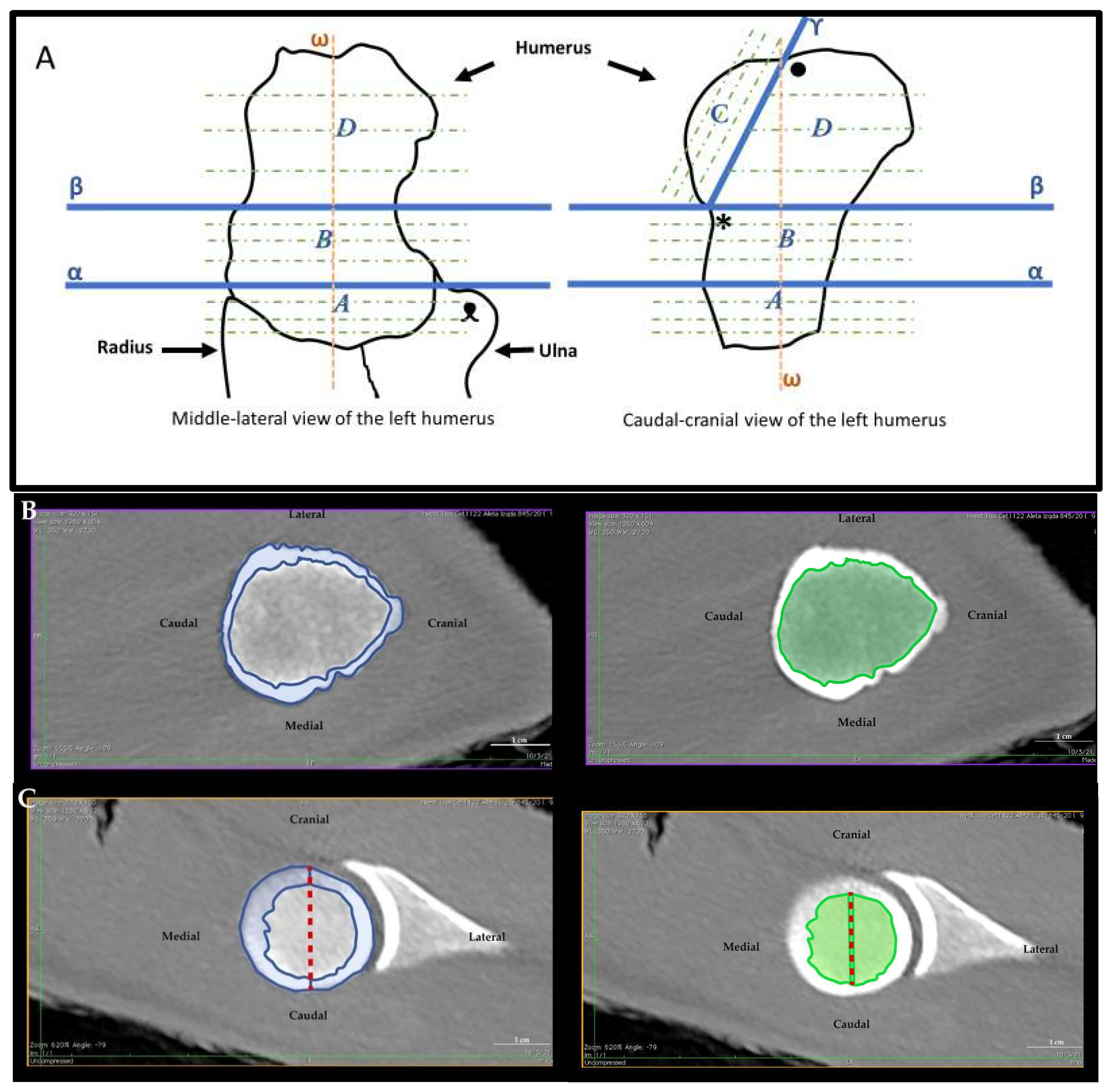 Animals 12 01793 g001