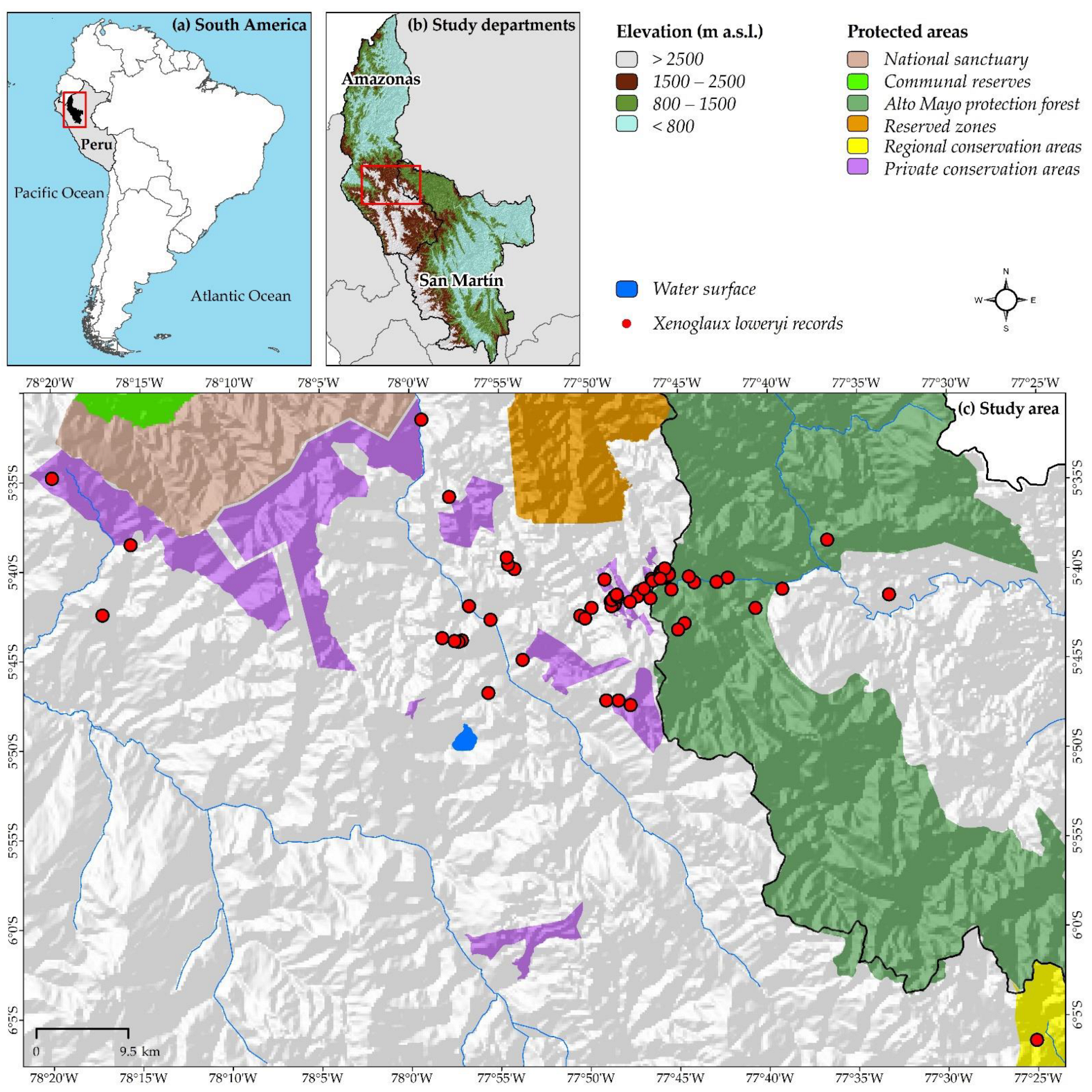 Animals 12 01794 g001