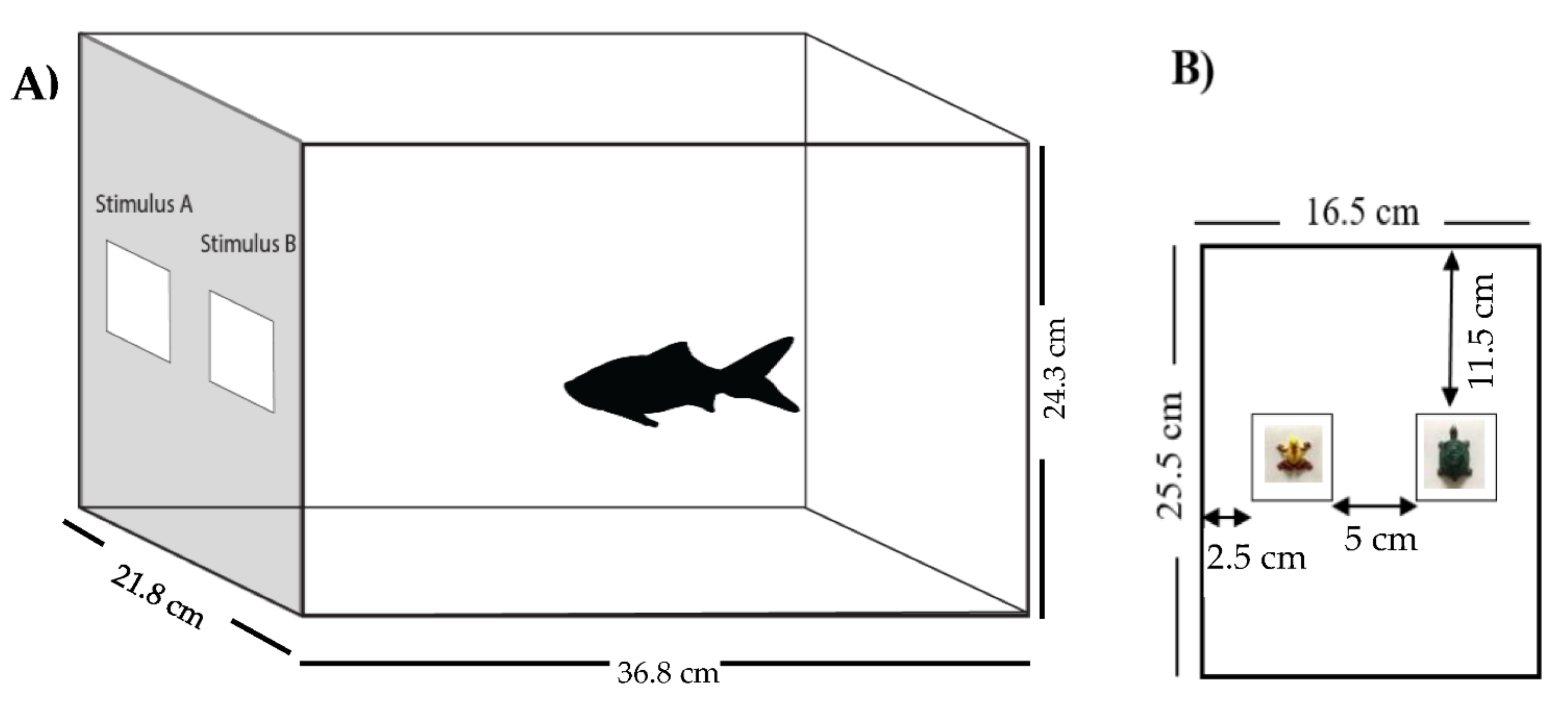 Animals 12 01797 g001