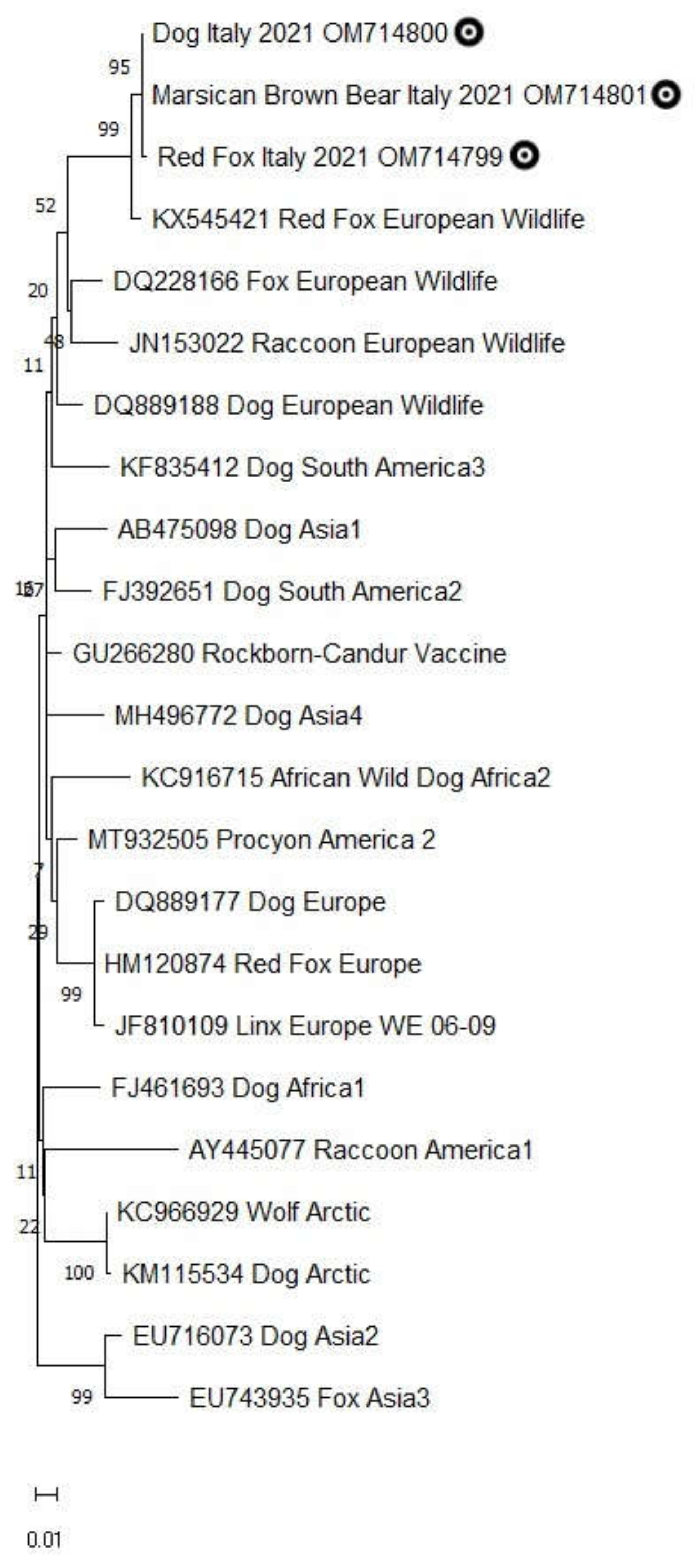 Animals 12 01826 g002