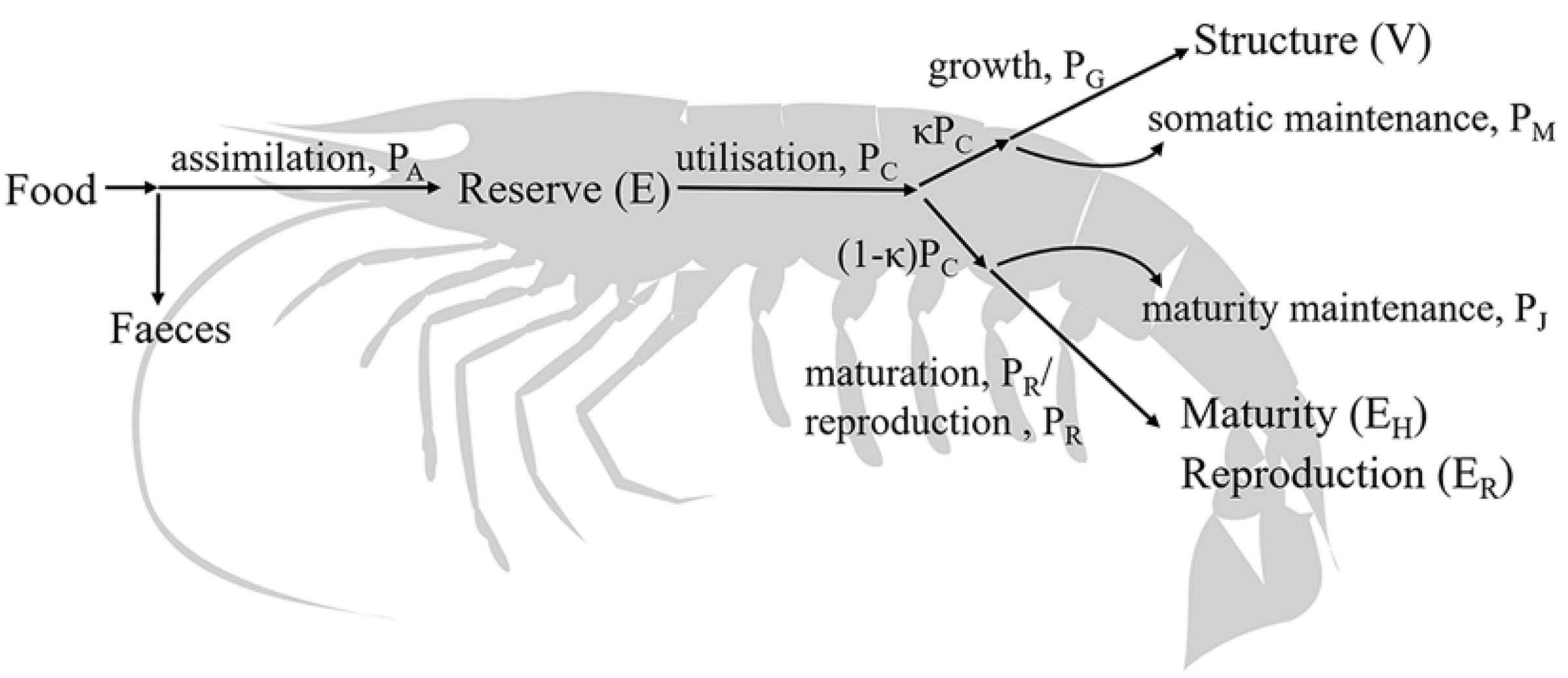 Animals 12 01828 g001