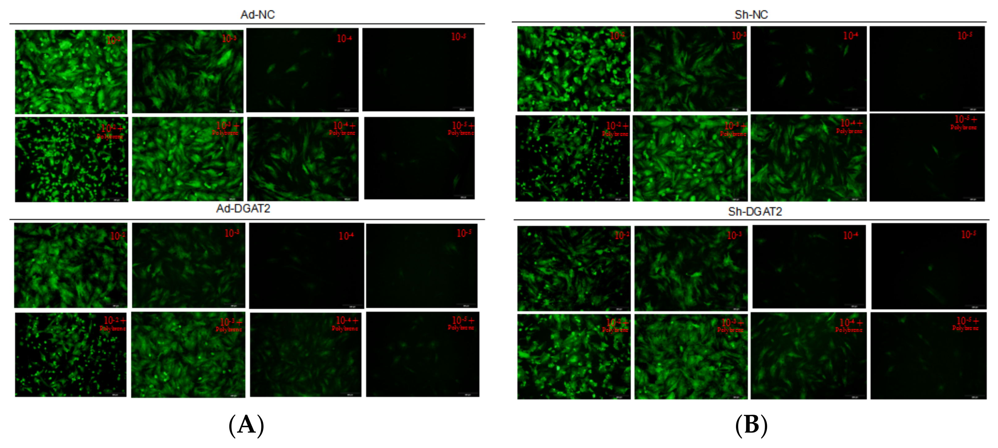 Animals 12 01847 g001