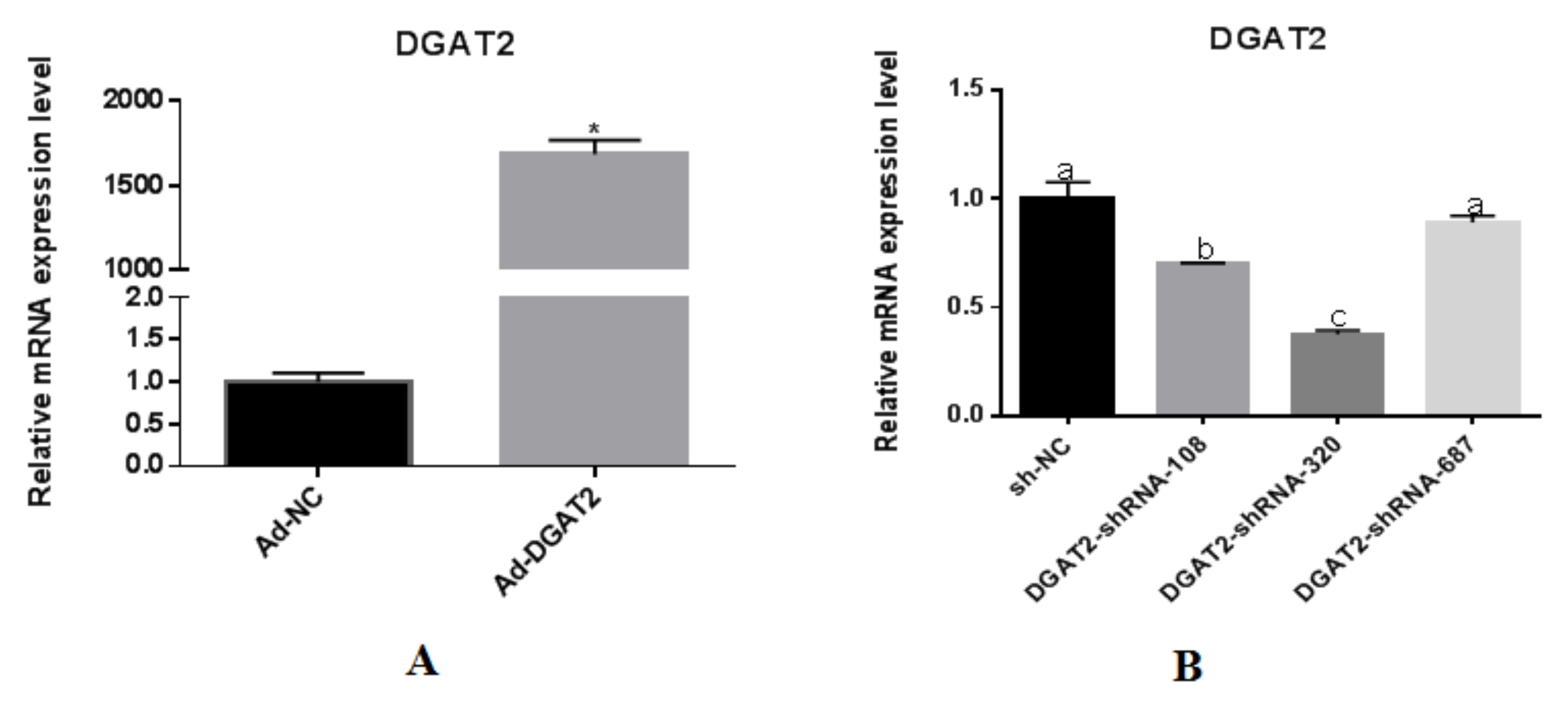 Animals 12 01847 g002