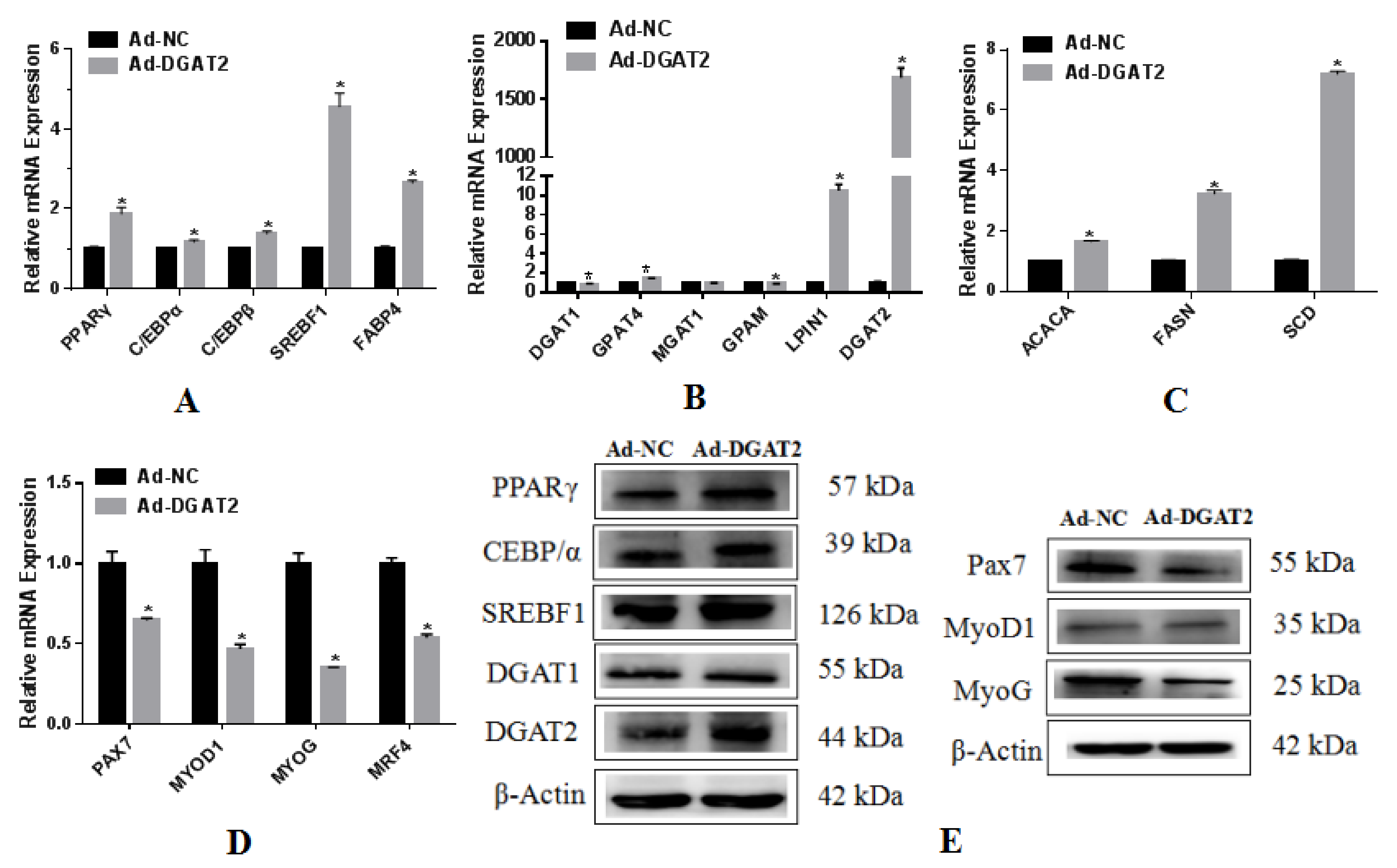 Animals 12 01847 g005