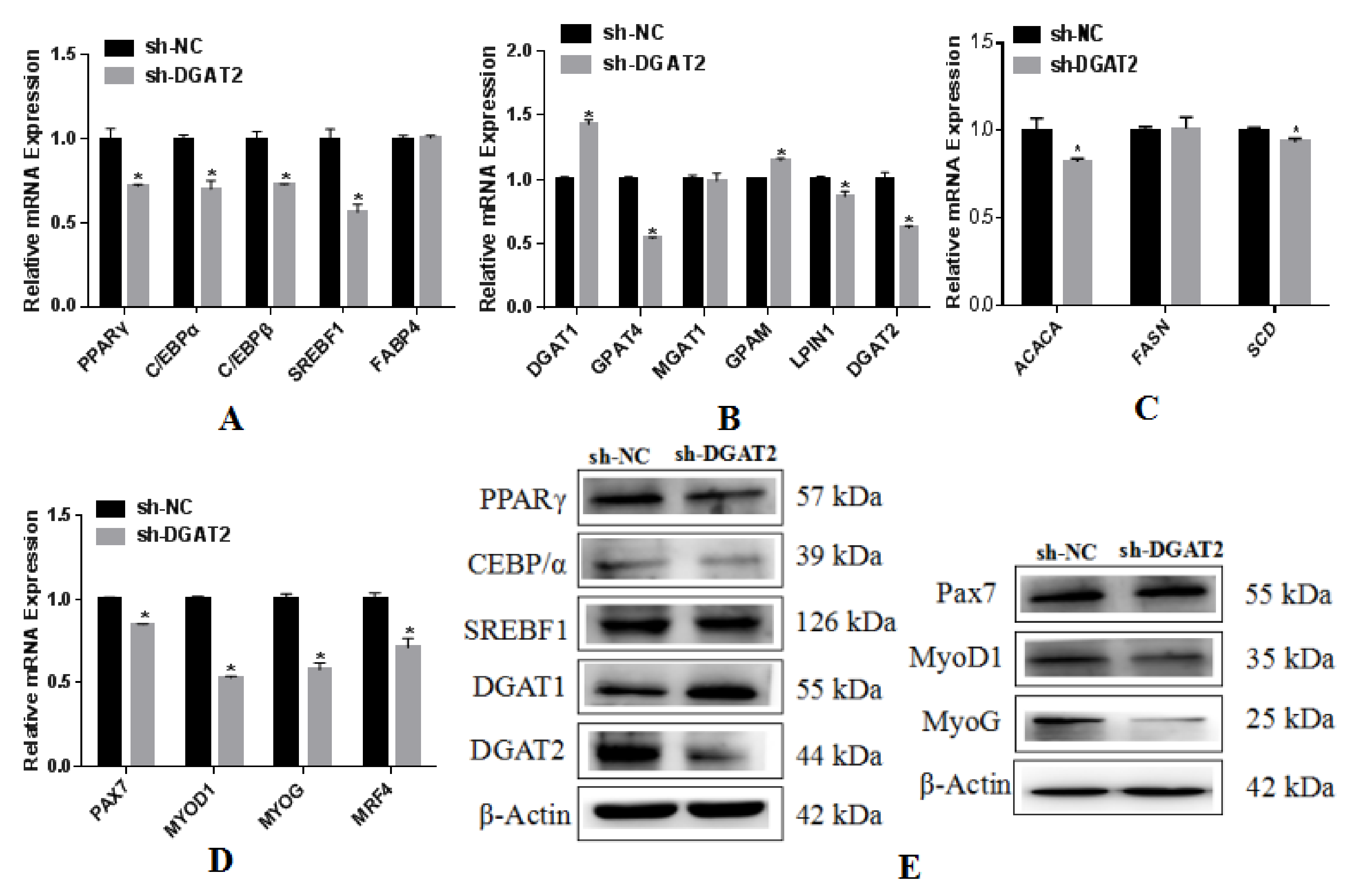 Animals 12 01847 g006