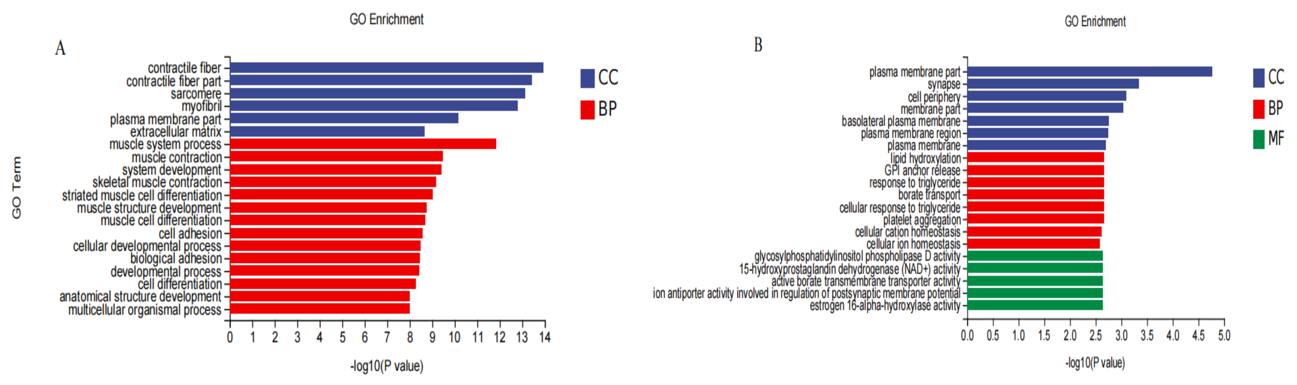 Animals 12 01847 g008