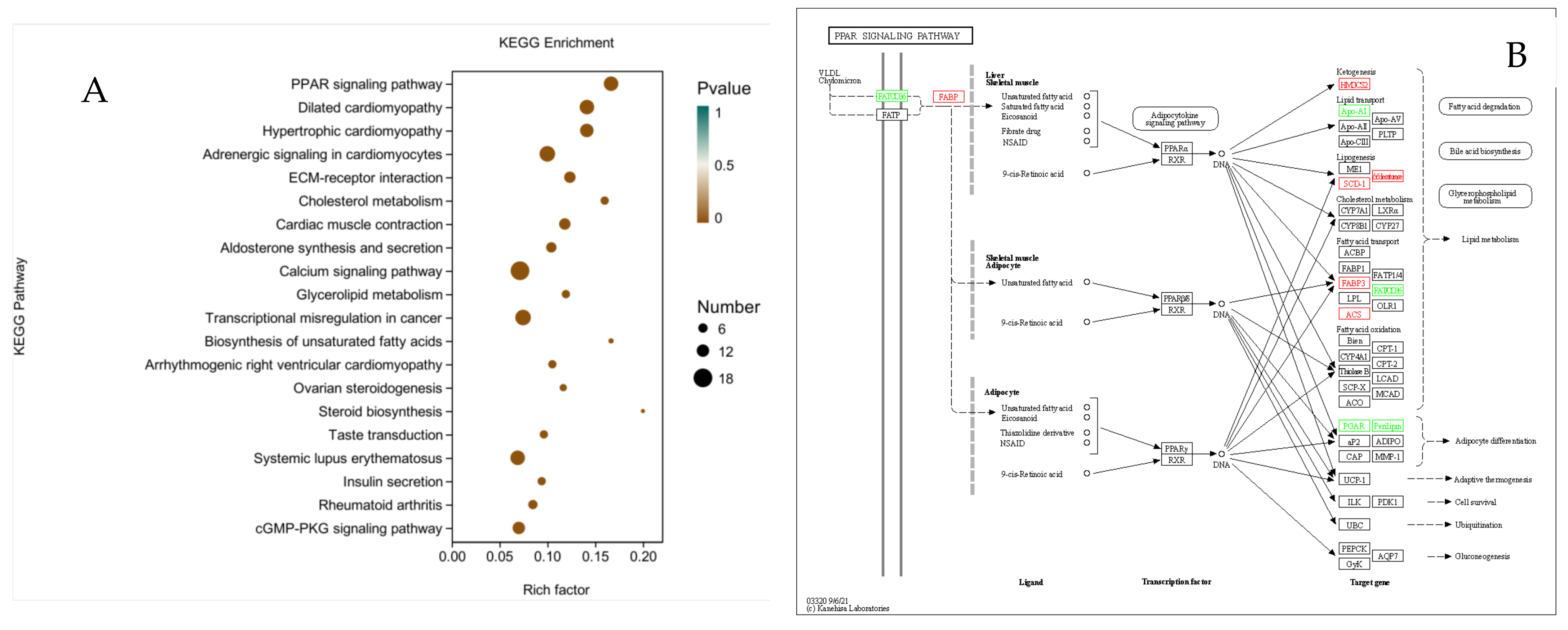 Animals 12 01847 g009a