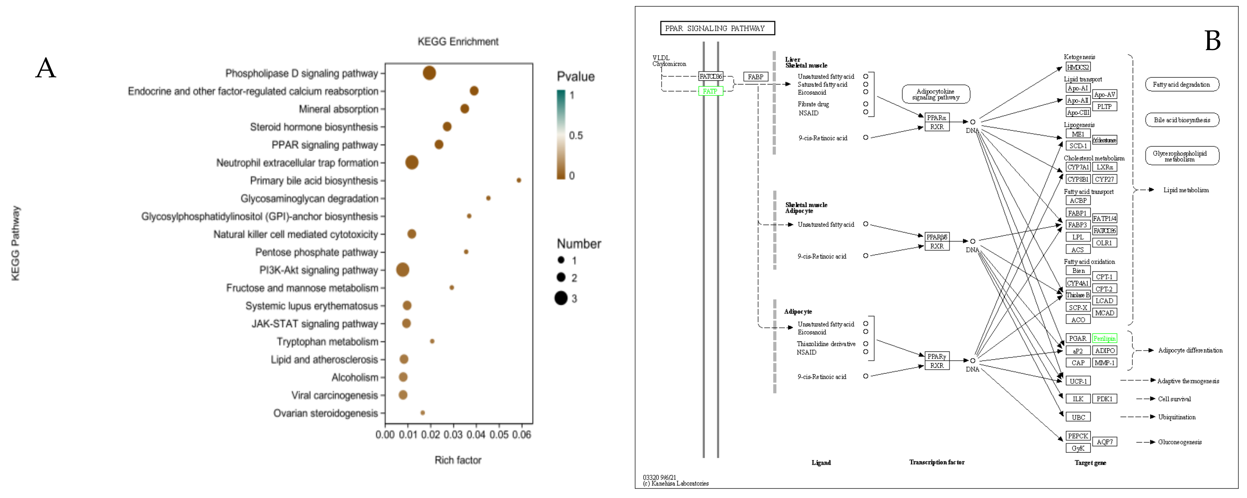 Animals 12 01847 g010
