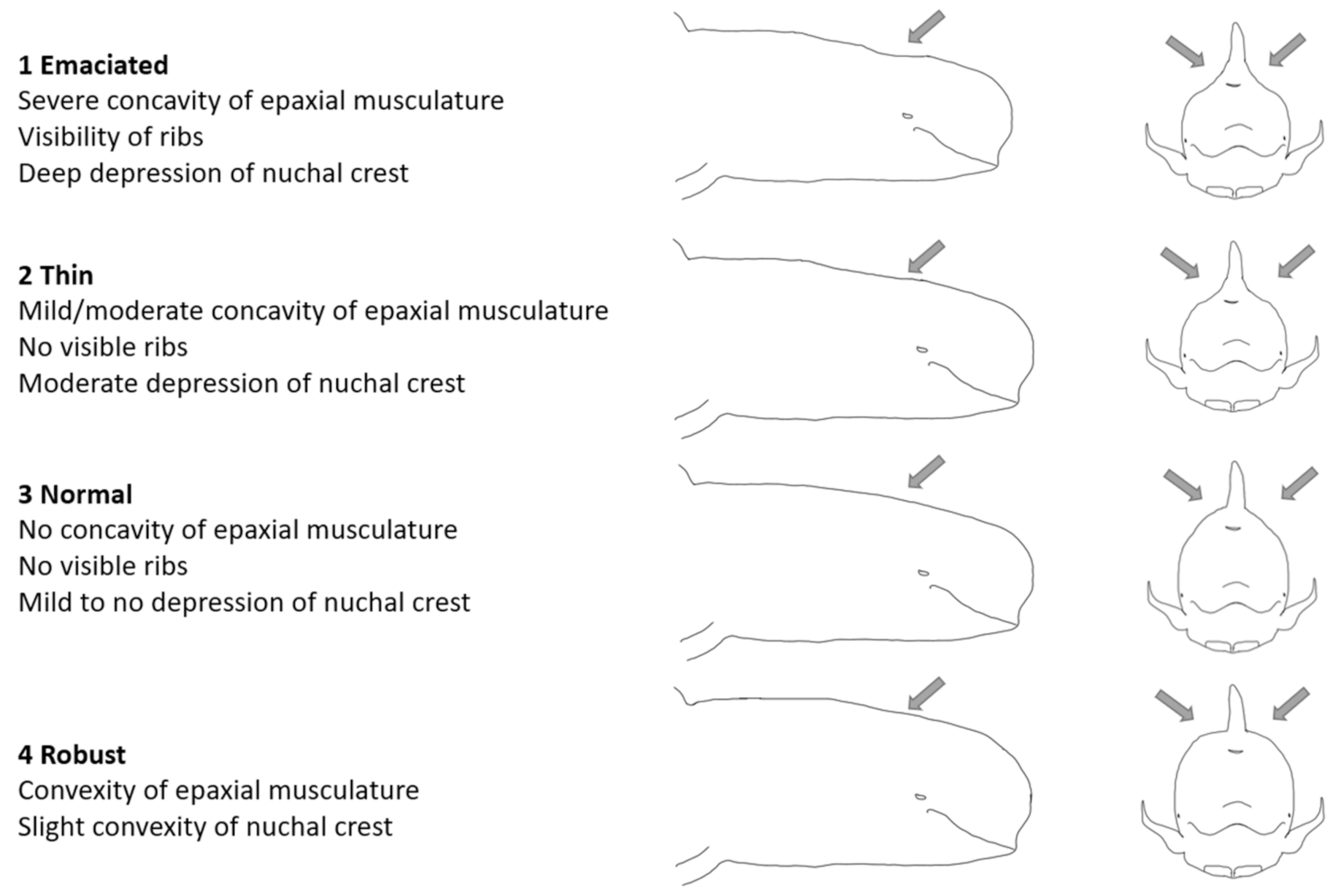 Animals 12 01861 g001