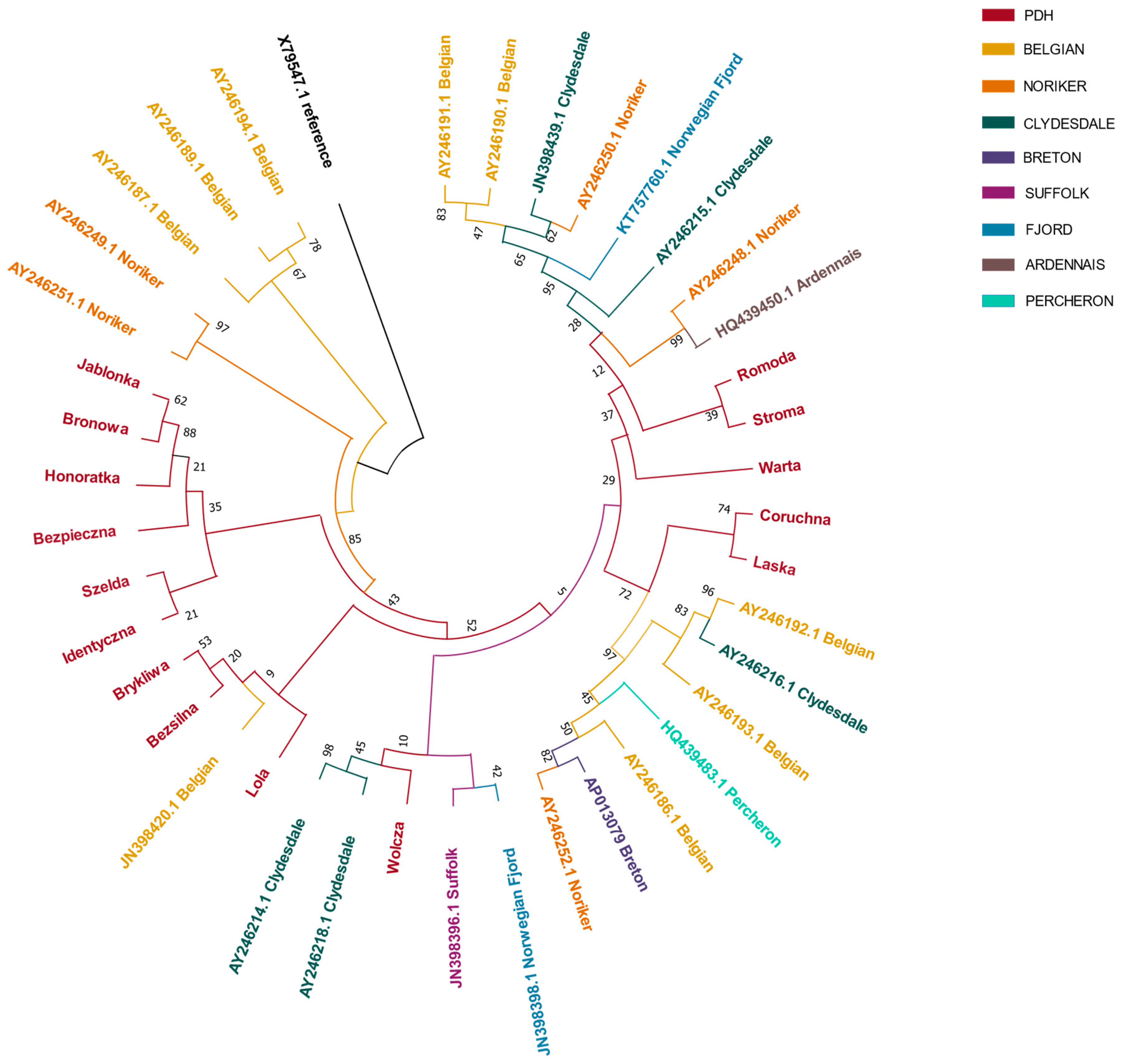 Animals 12 01870 g001