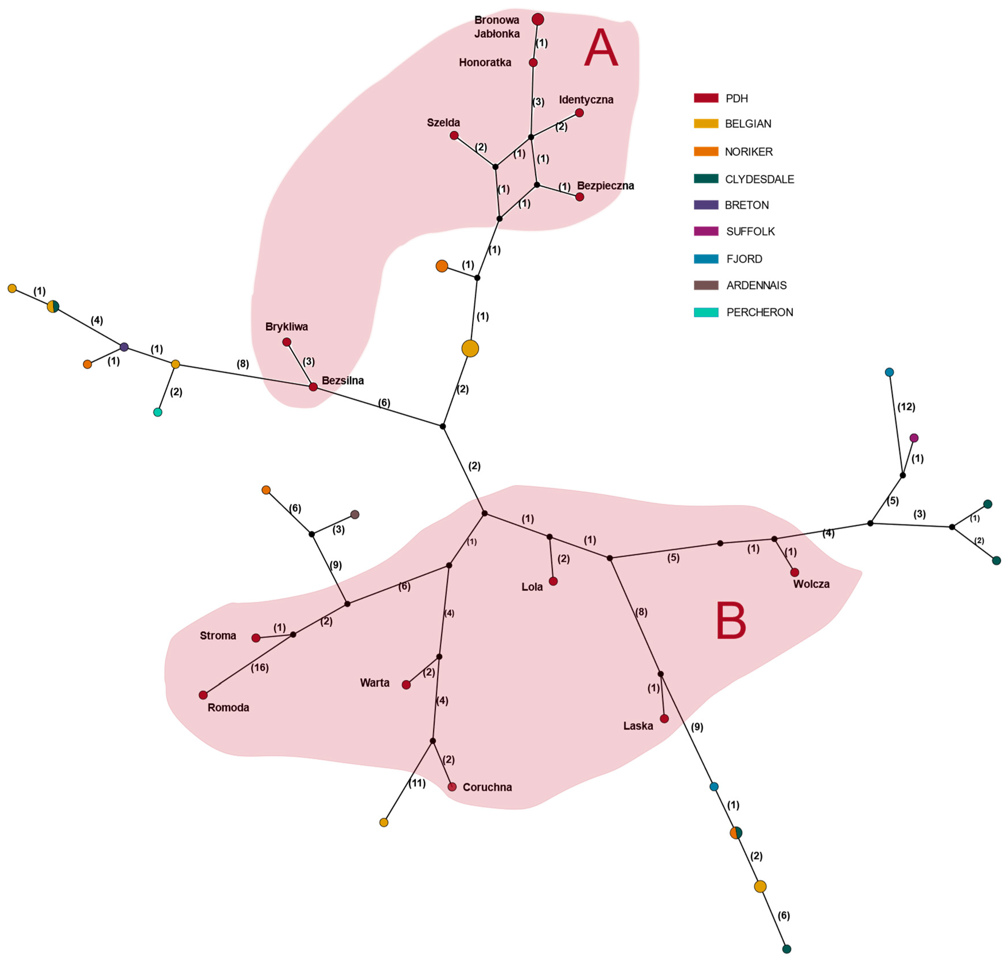 Animals 12 01870 g002