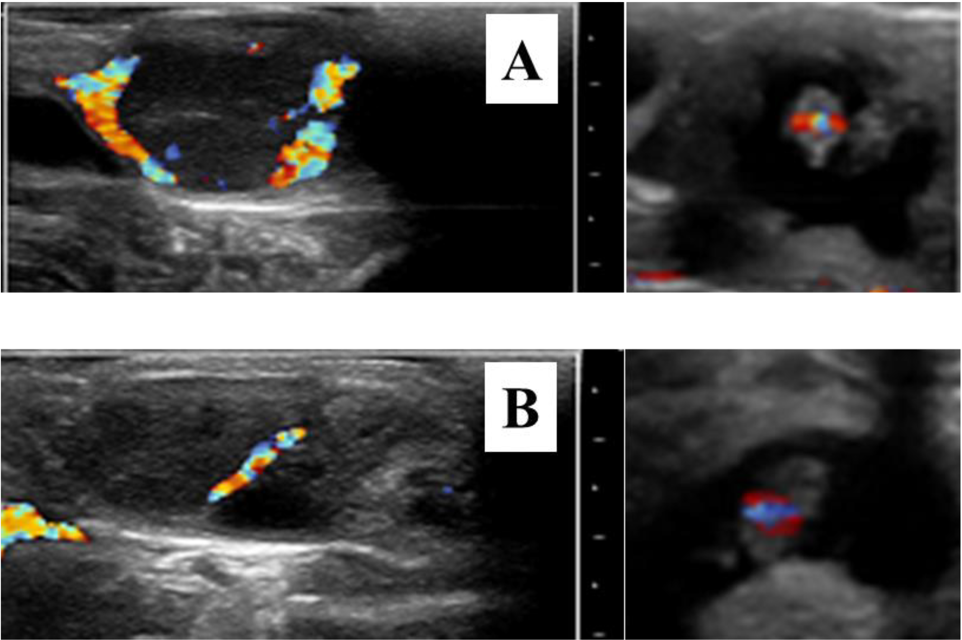 Animals 12 01871 g001