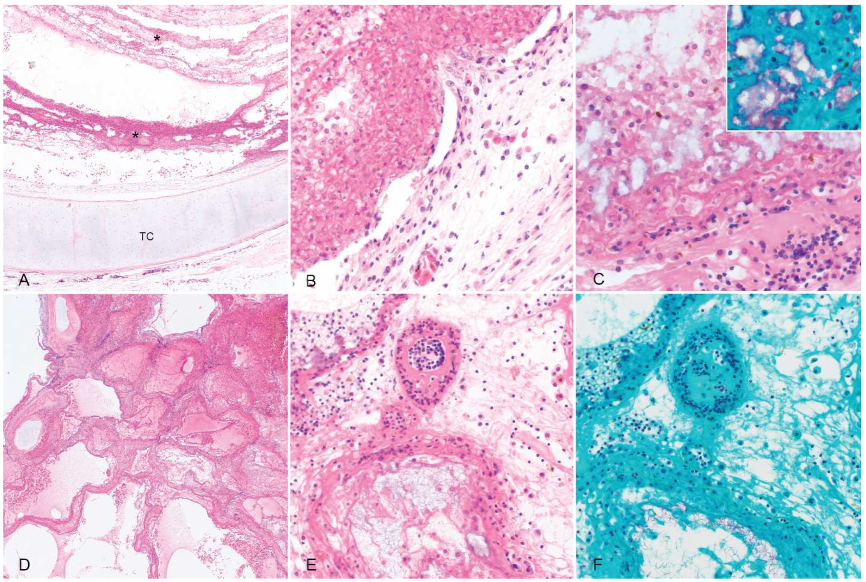 Animals 12 01891 g002