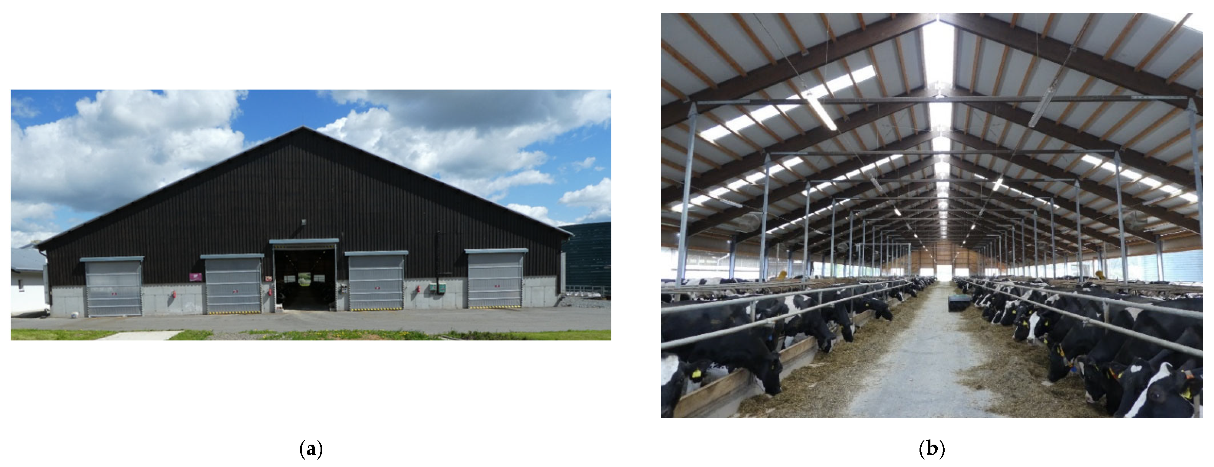 Animals 12 01895 g001