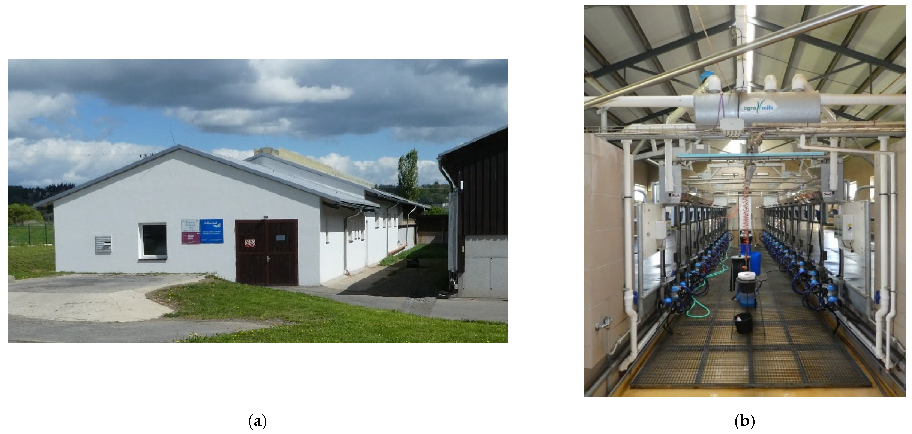 Animals 12 01895 g002