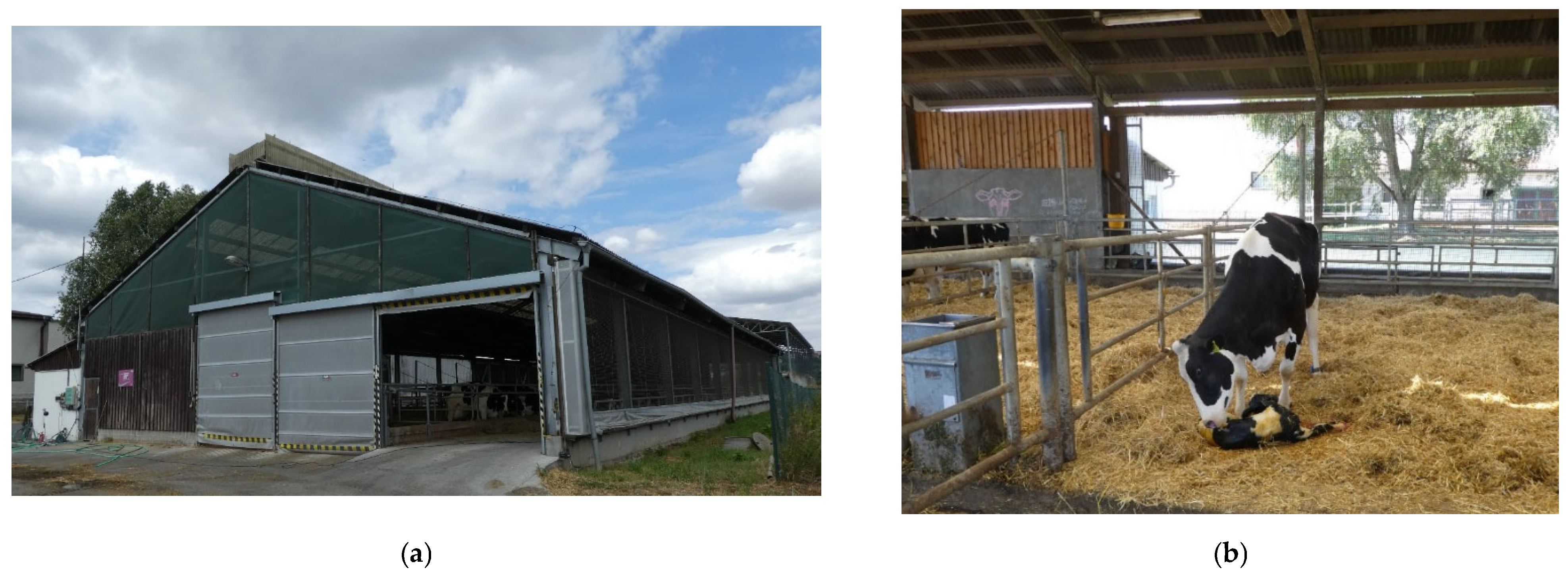 Animals 12 01895 g003