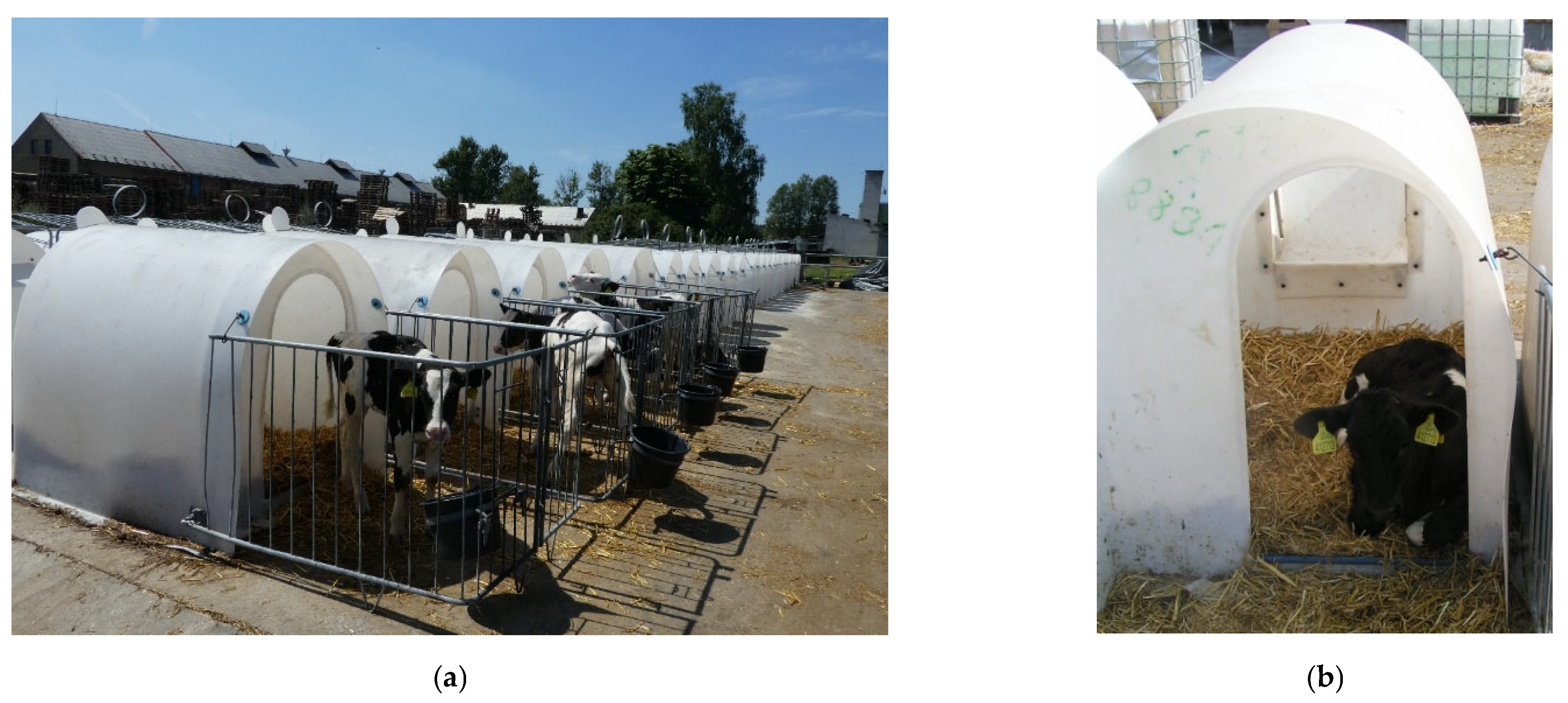 Animals 12 01895 g004