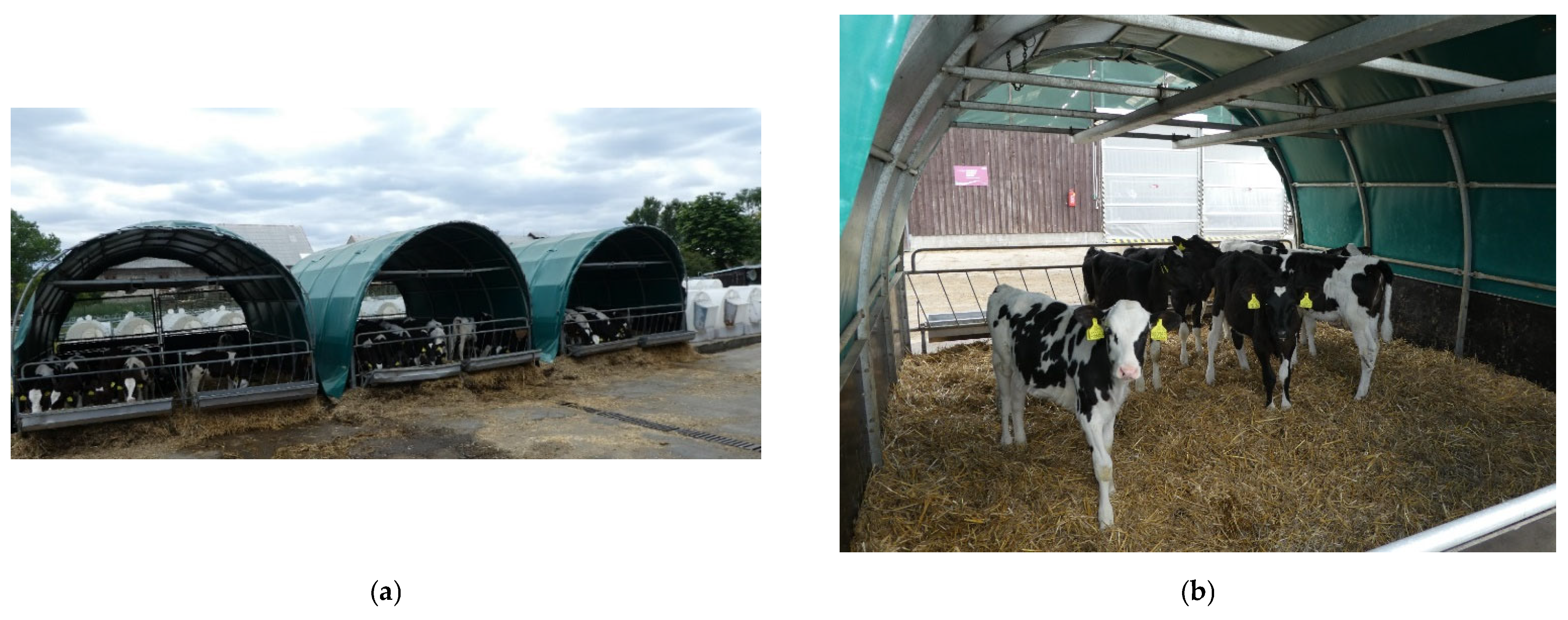 Animals 12 01895 g005