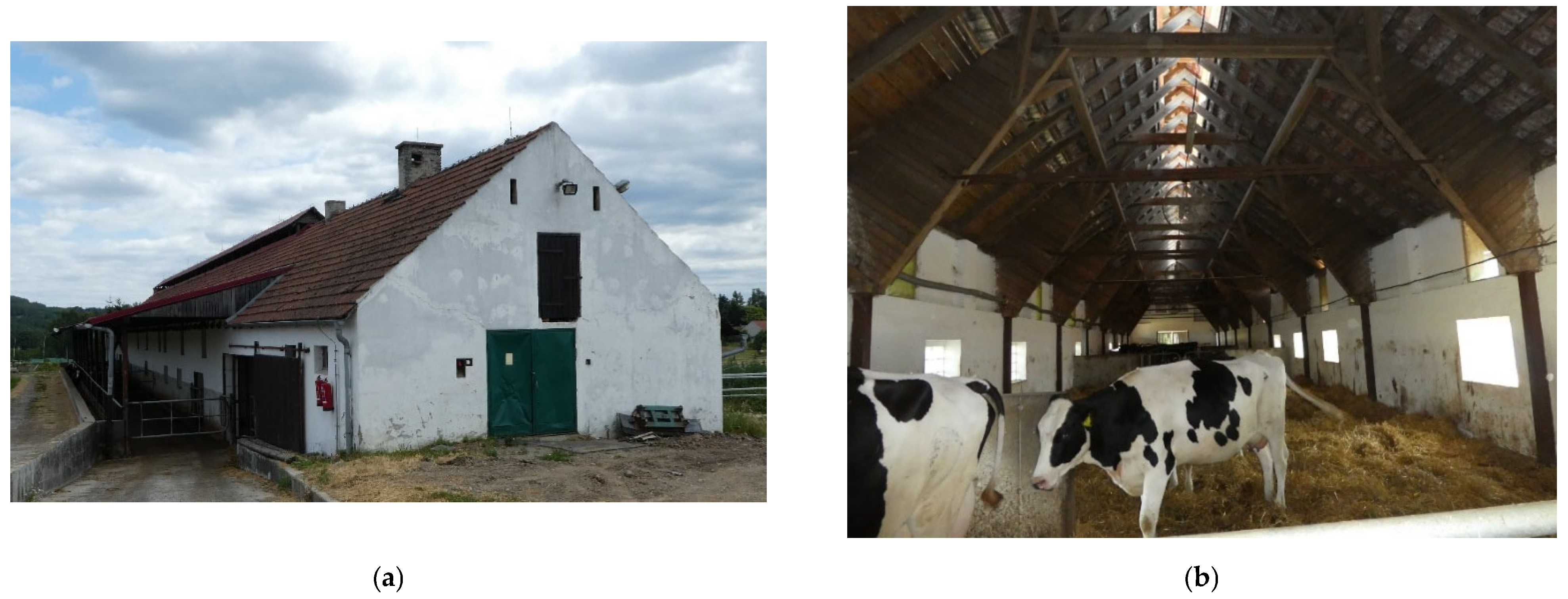 Animals 12 01895 g006