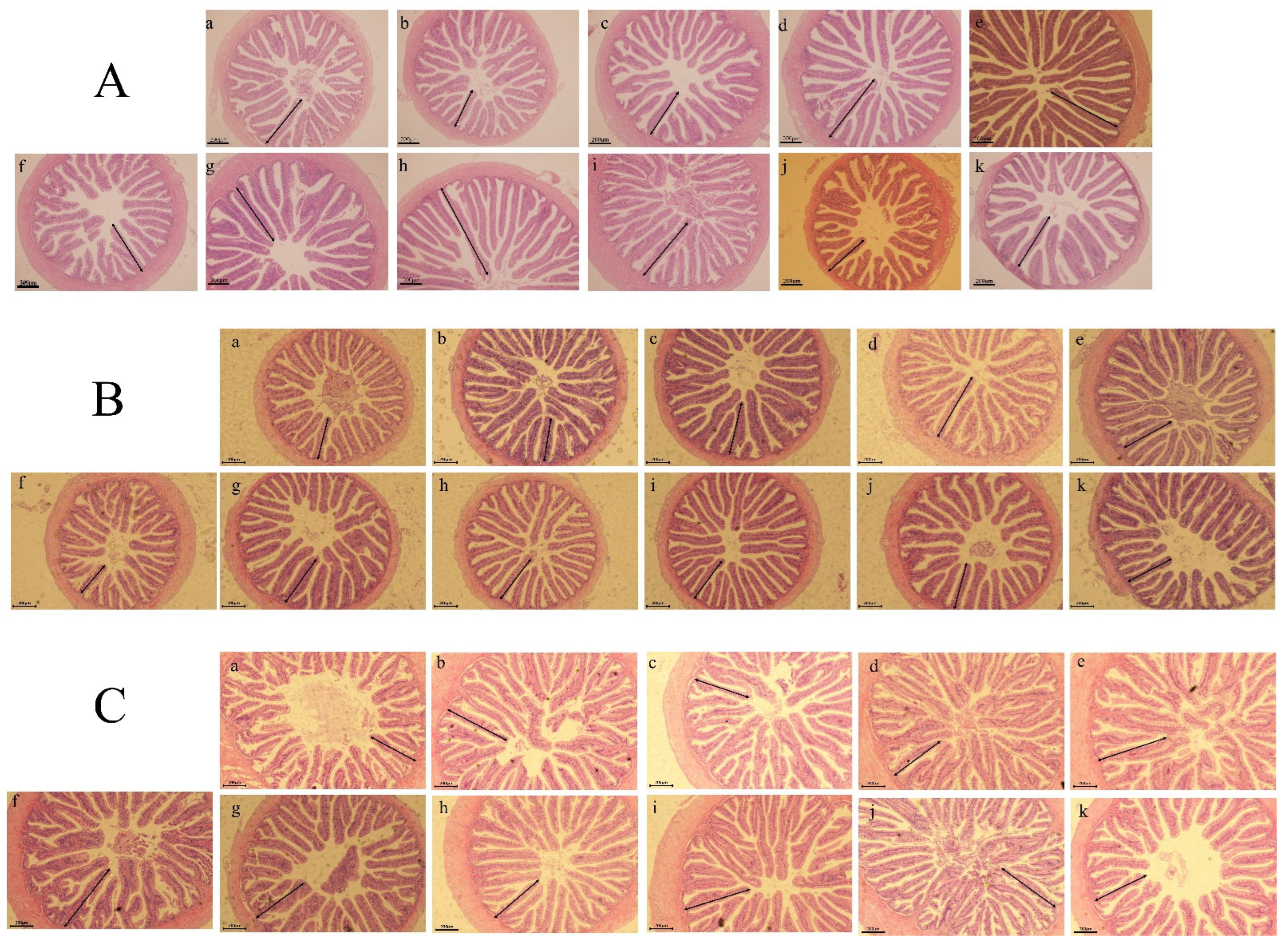 Animals 12 01906 g002