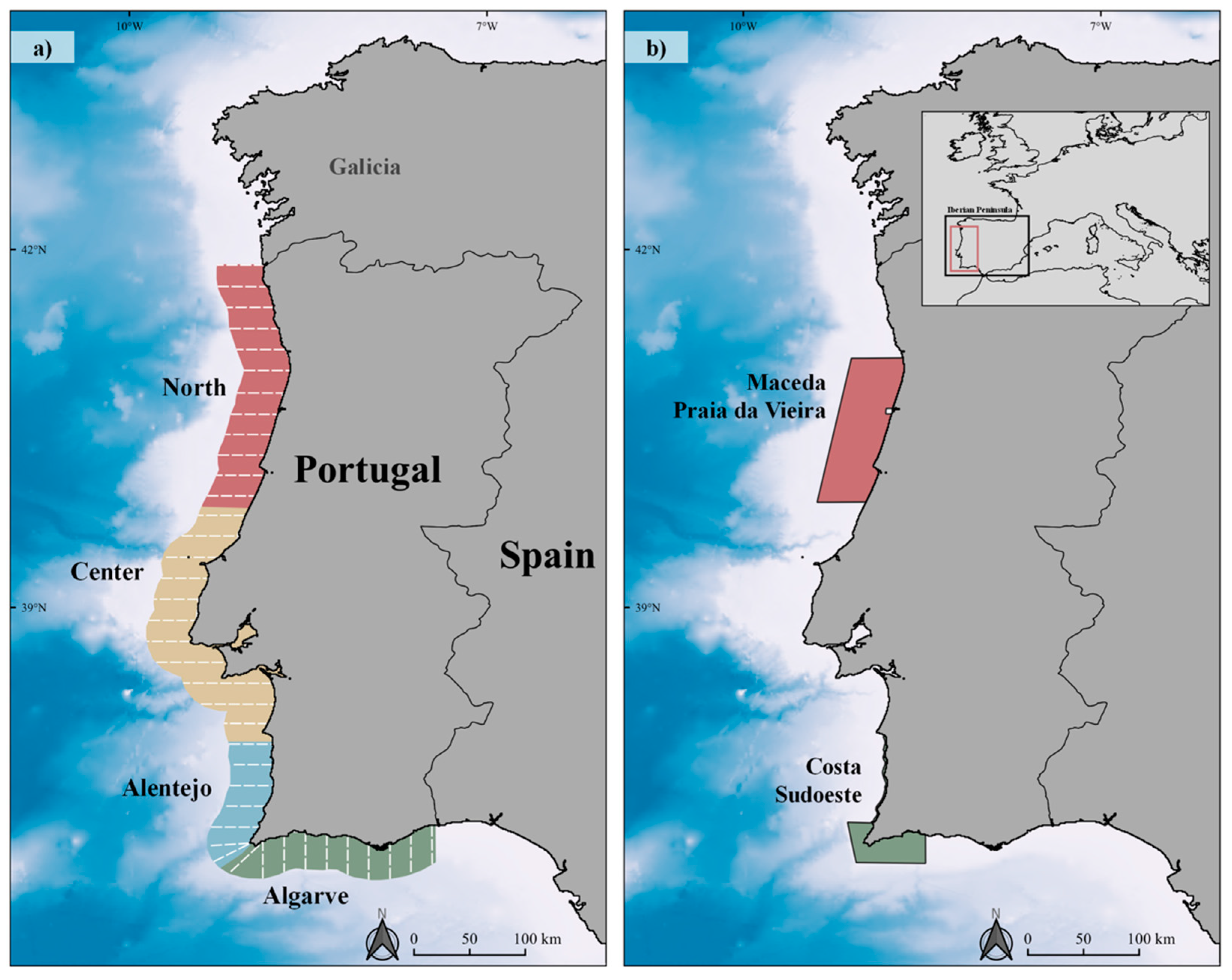 Animals 12 01935 g001