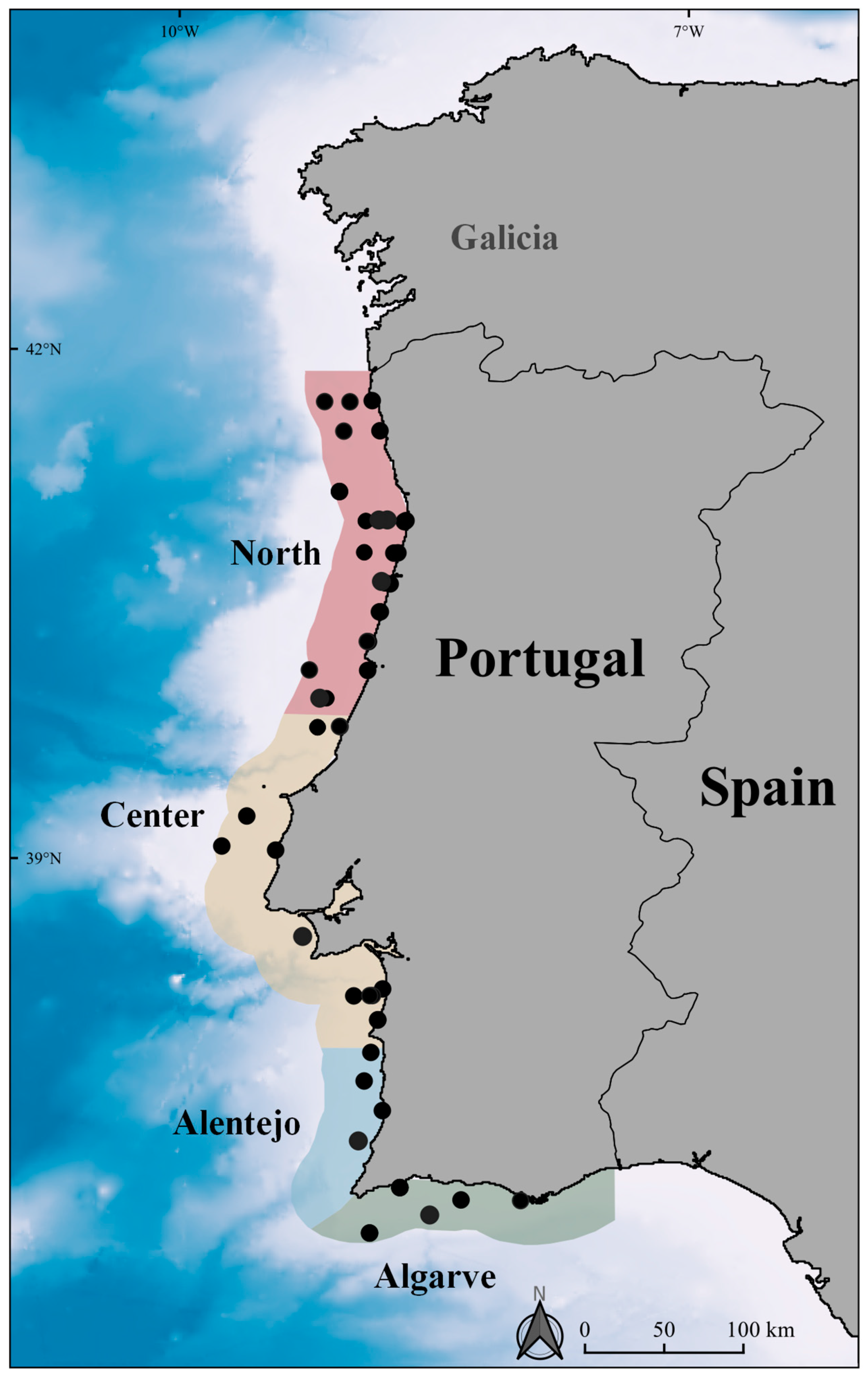 Animals 12 01935 g002