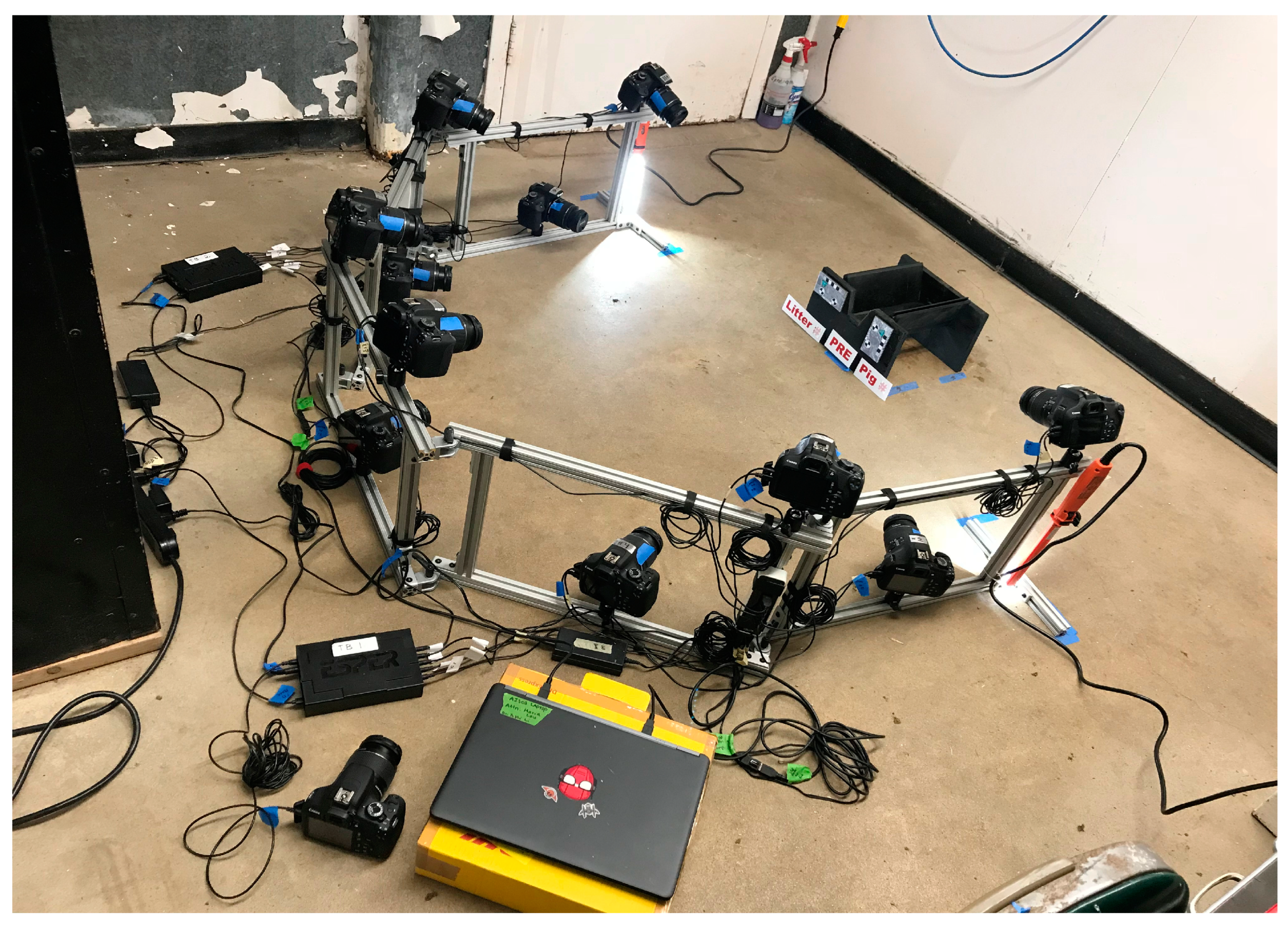 Animals 12 01944 g001 Animals 12 01944 g001