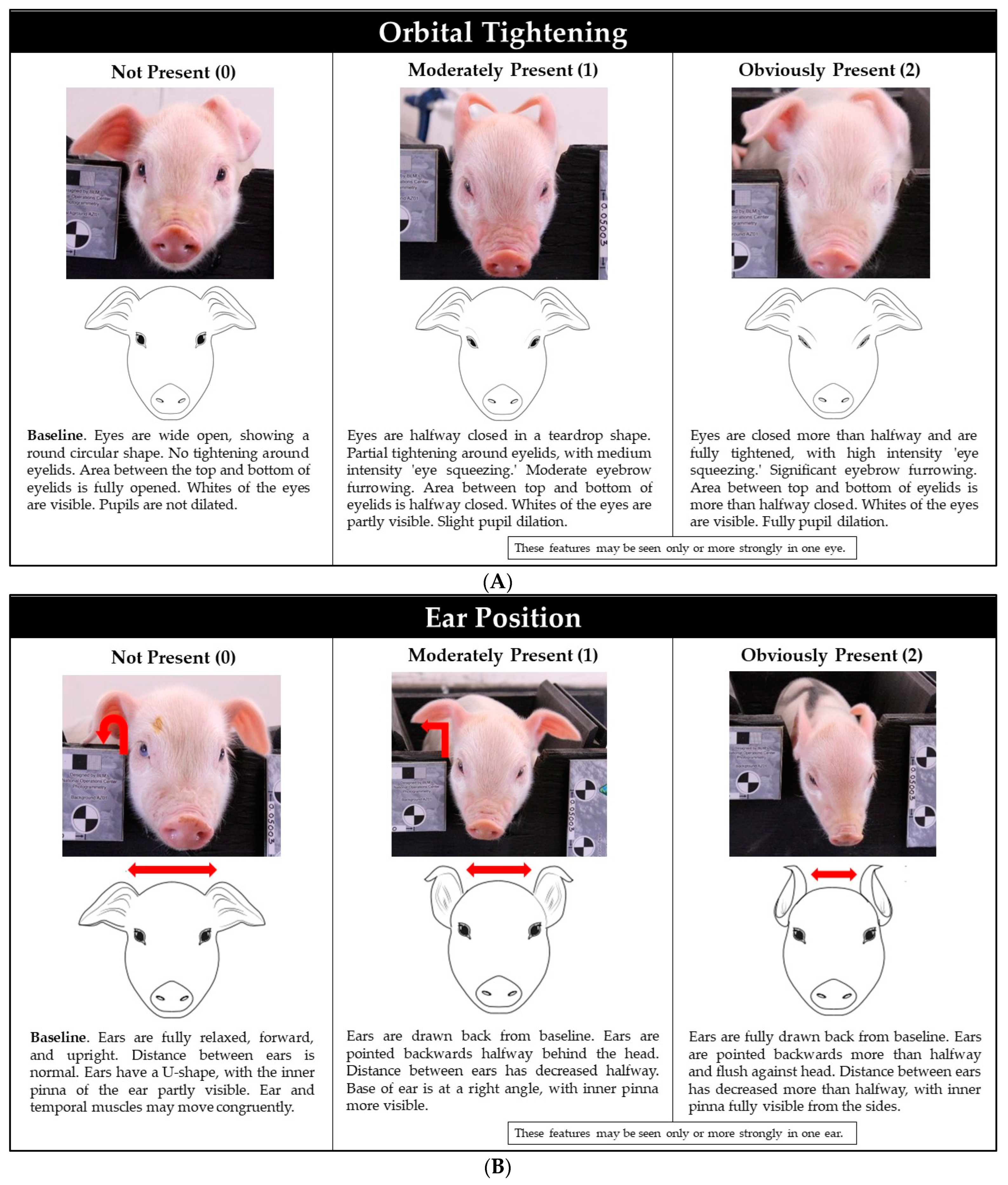 Animals 12 01944 g003a Animals 12 01944 g003a