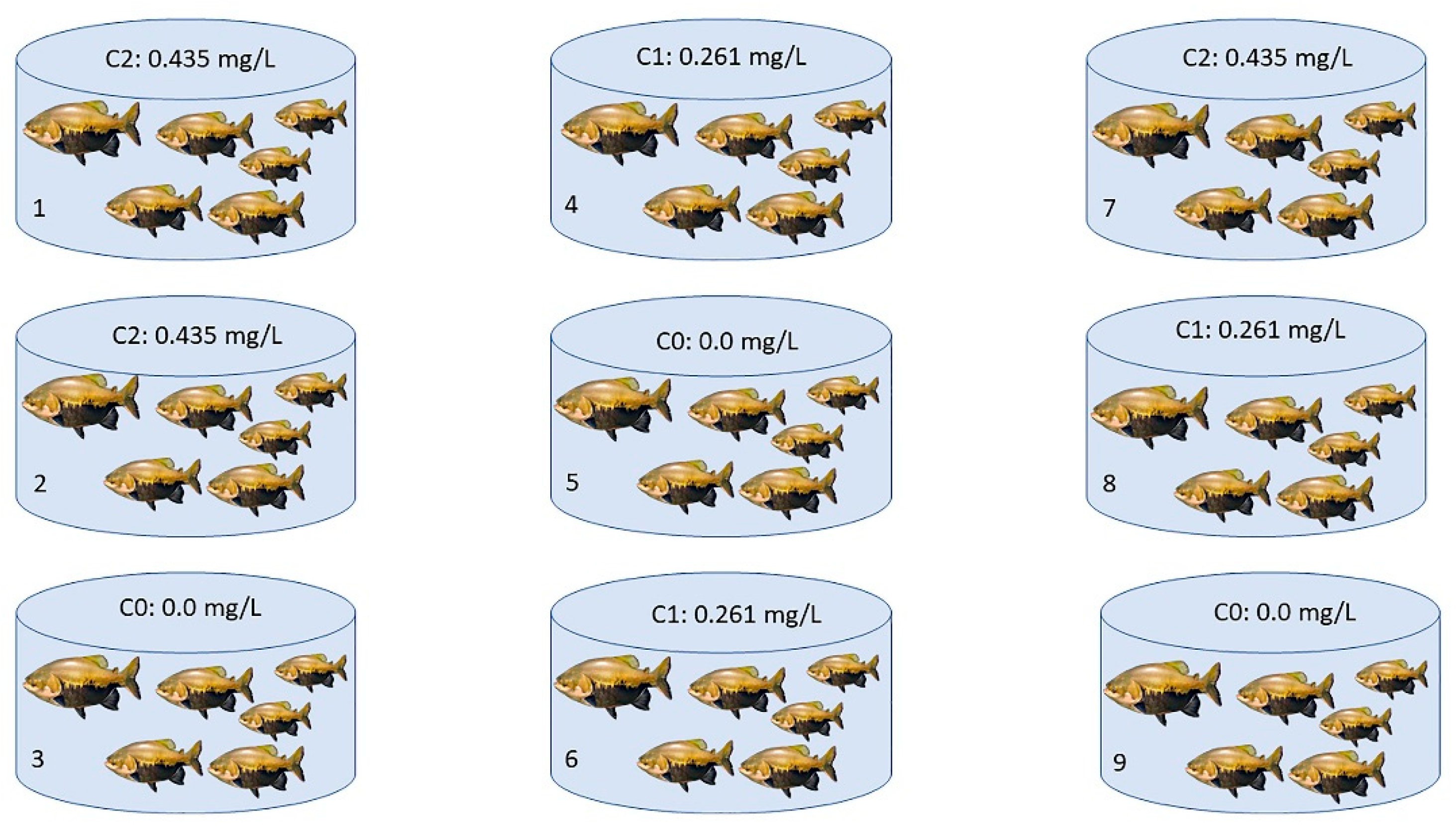 Animals 12 01945 g001