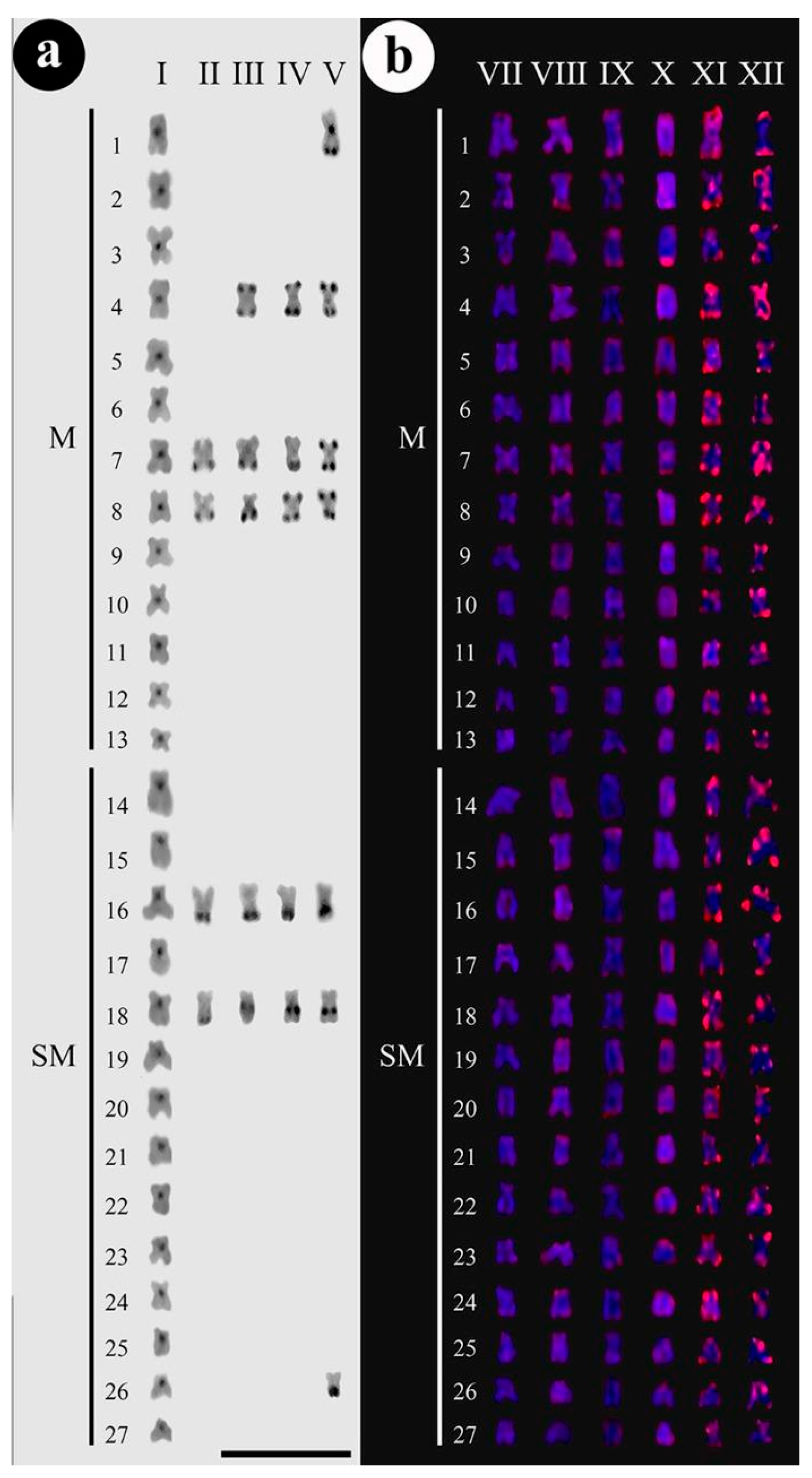 Animals 12 01945 g002
