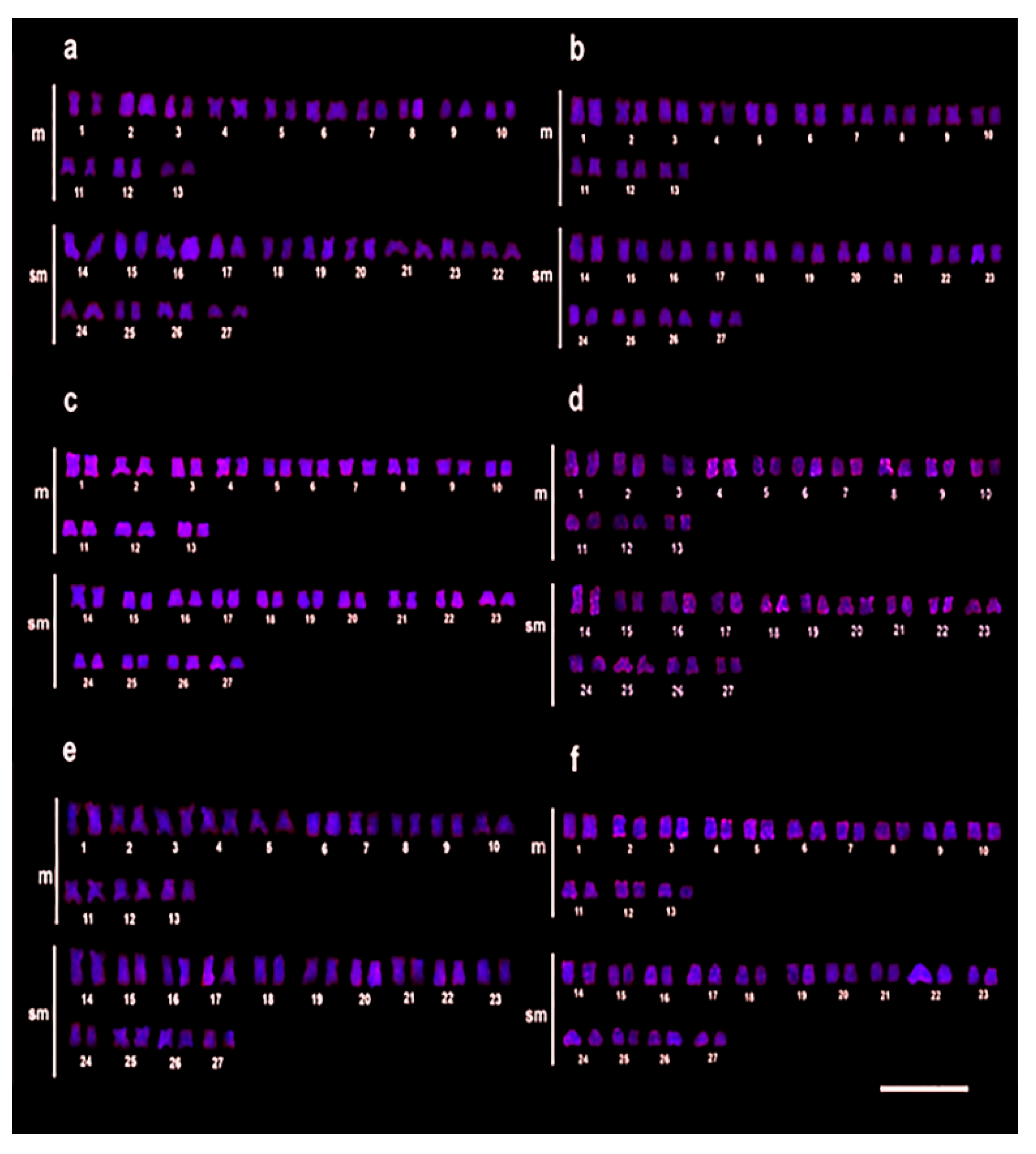 Animals 12 01945 g003