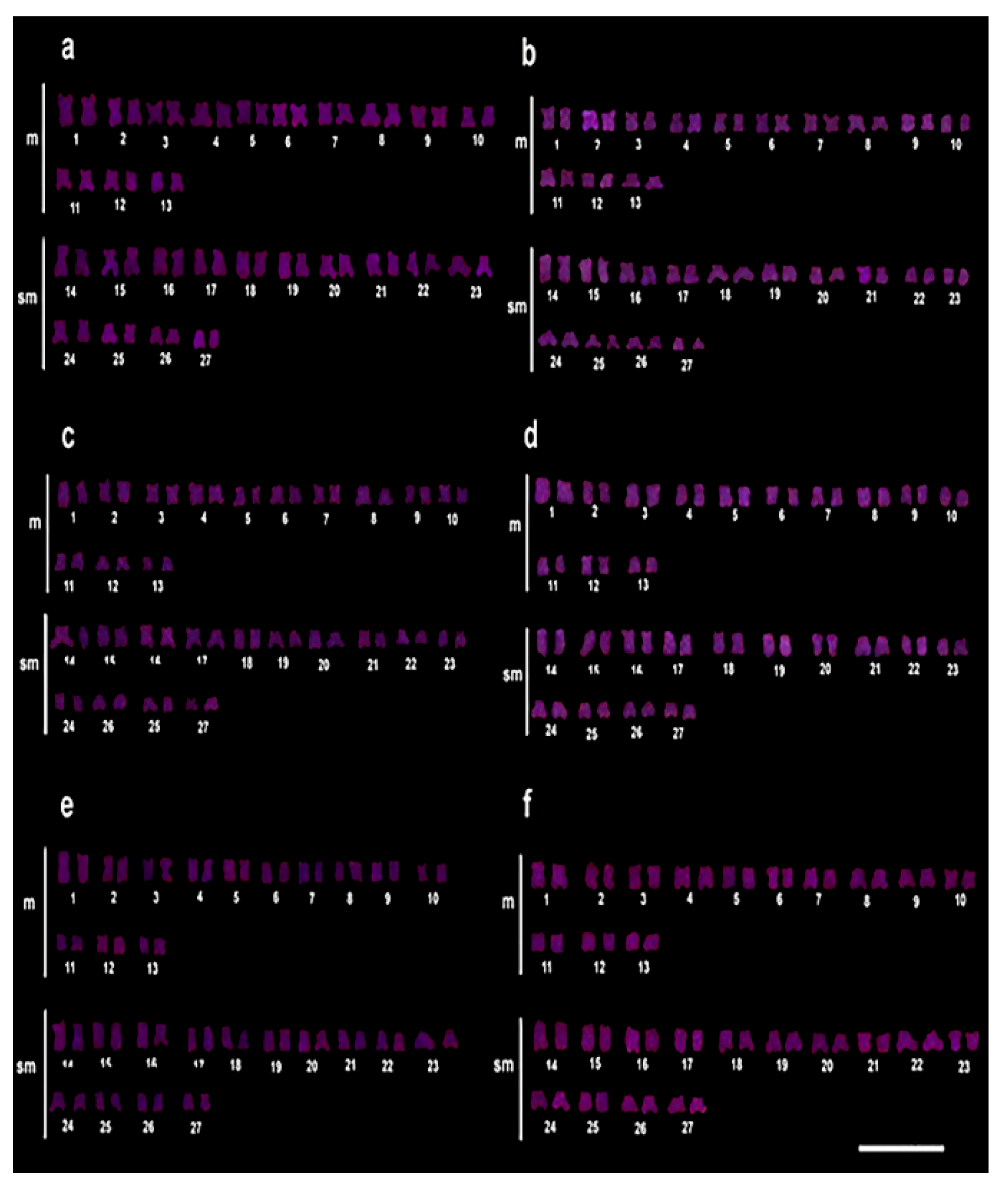 Animals 12 01945 g004
