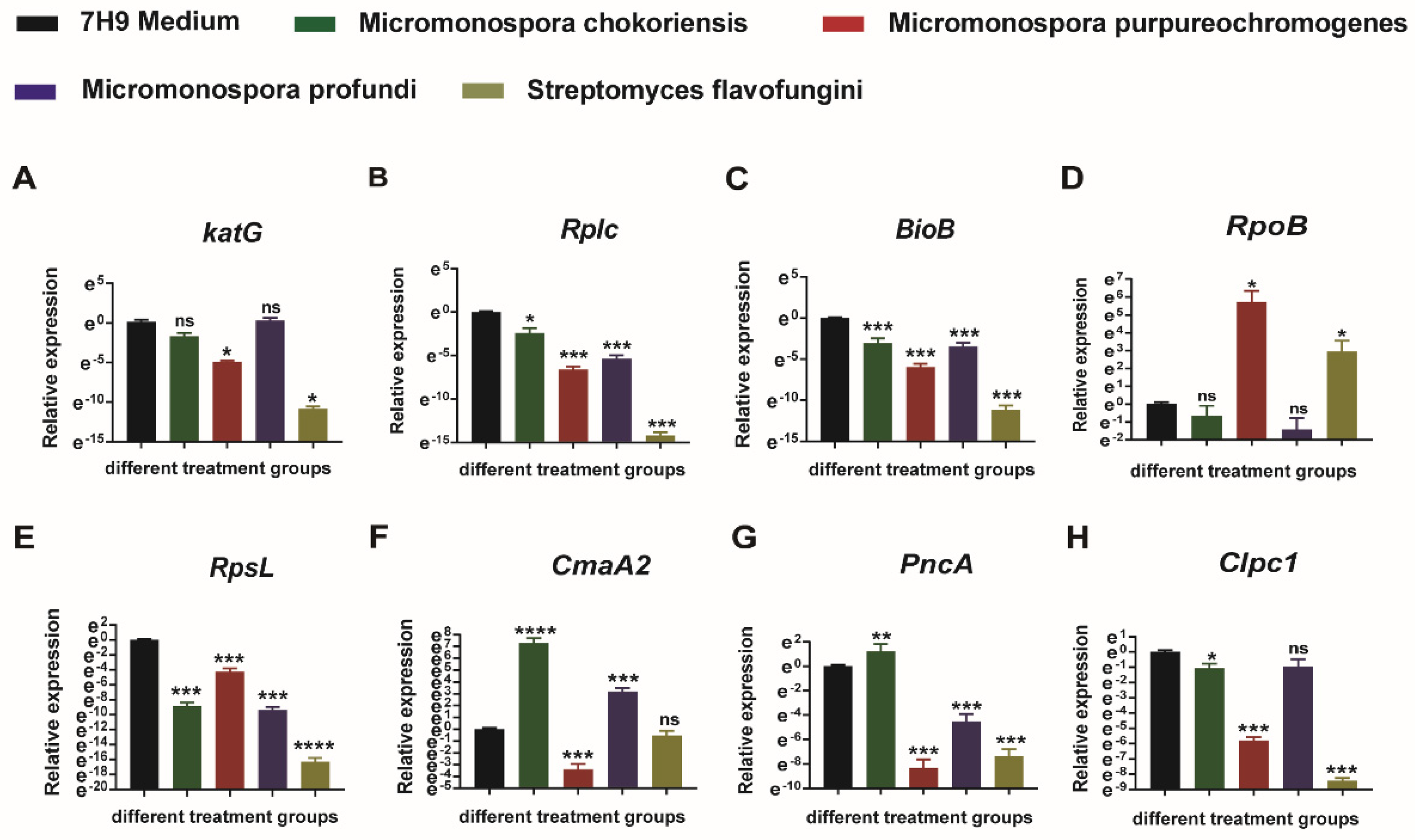 Animals 12 01947 g004