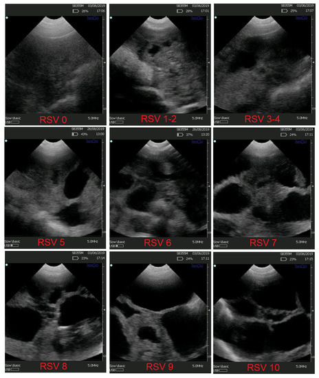 Animals 12 01948 g0a1