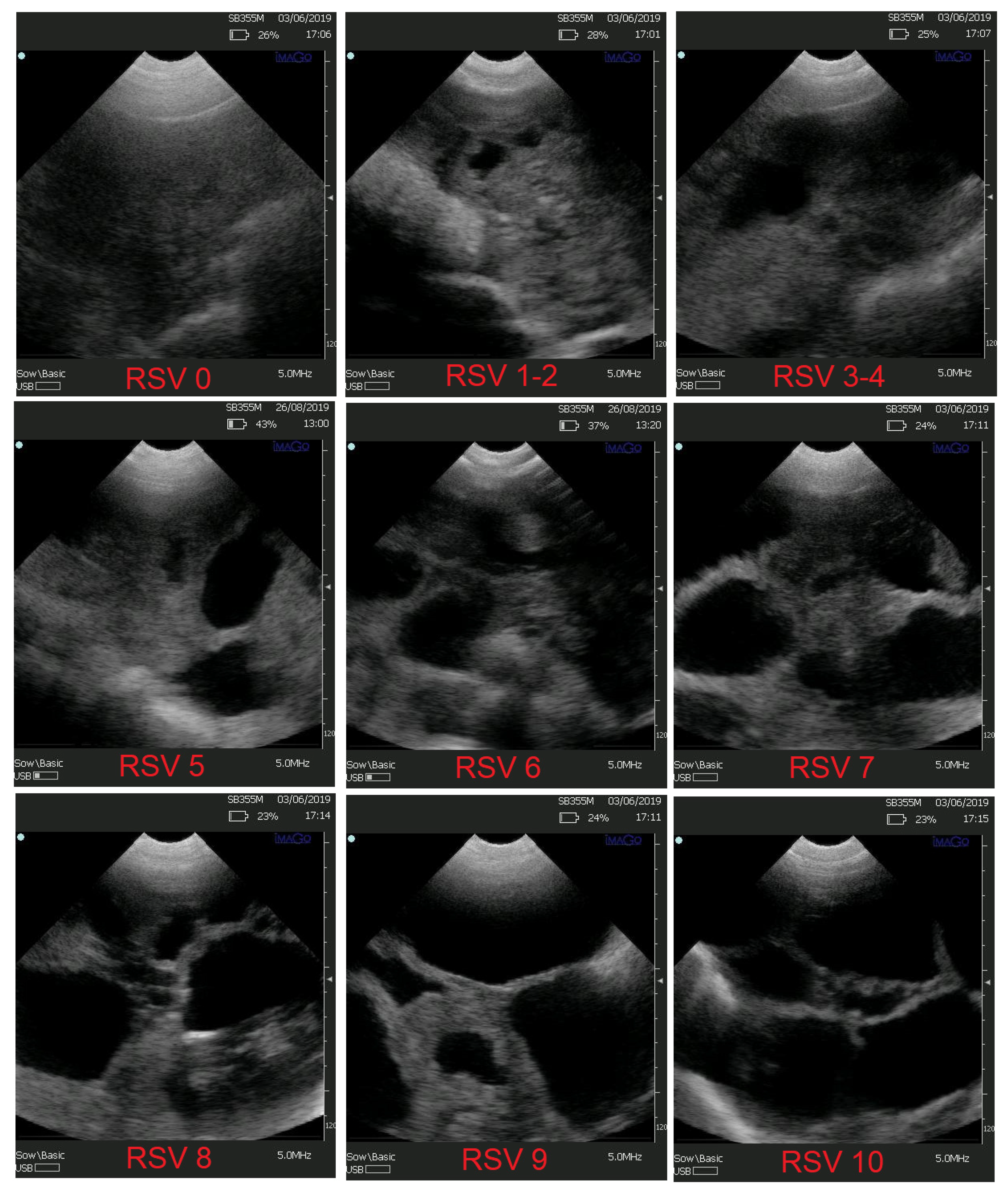 Animals 12 01948 g0a1 Animals 12 01948 g0a1