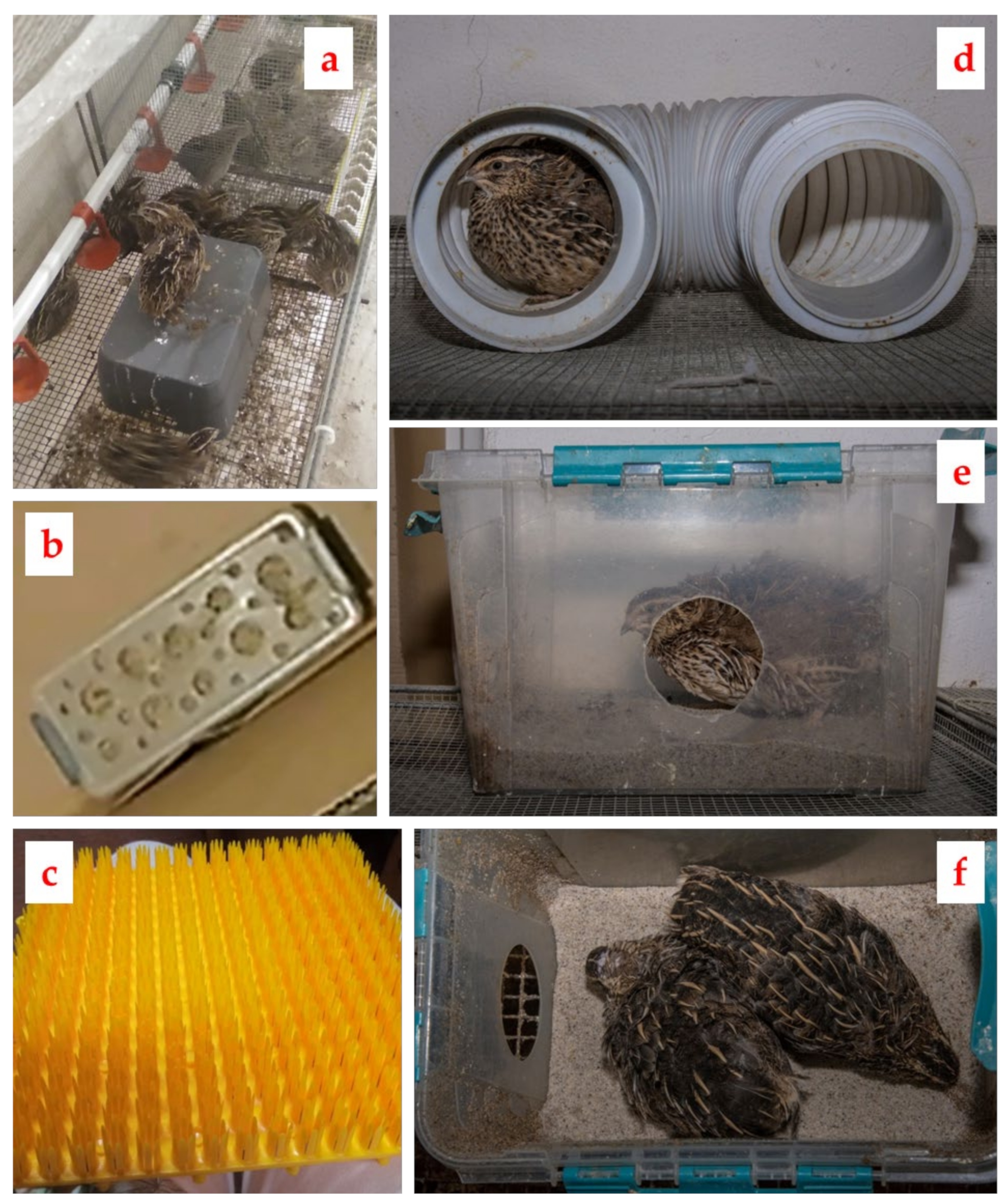 Animals 12 01963 g001