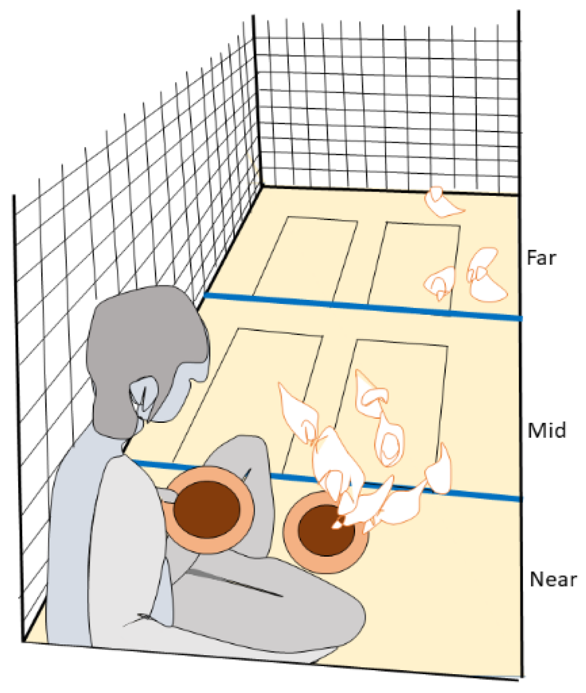 Animals 12 01969 g002