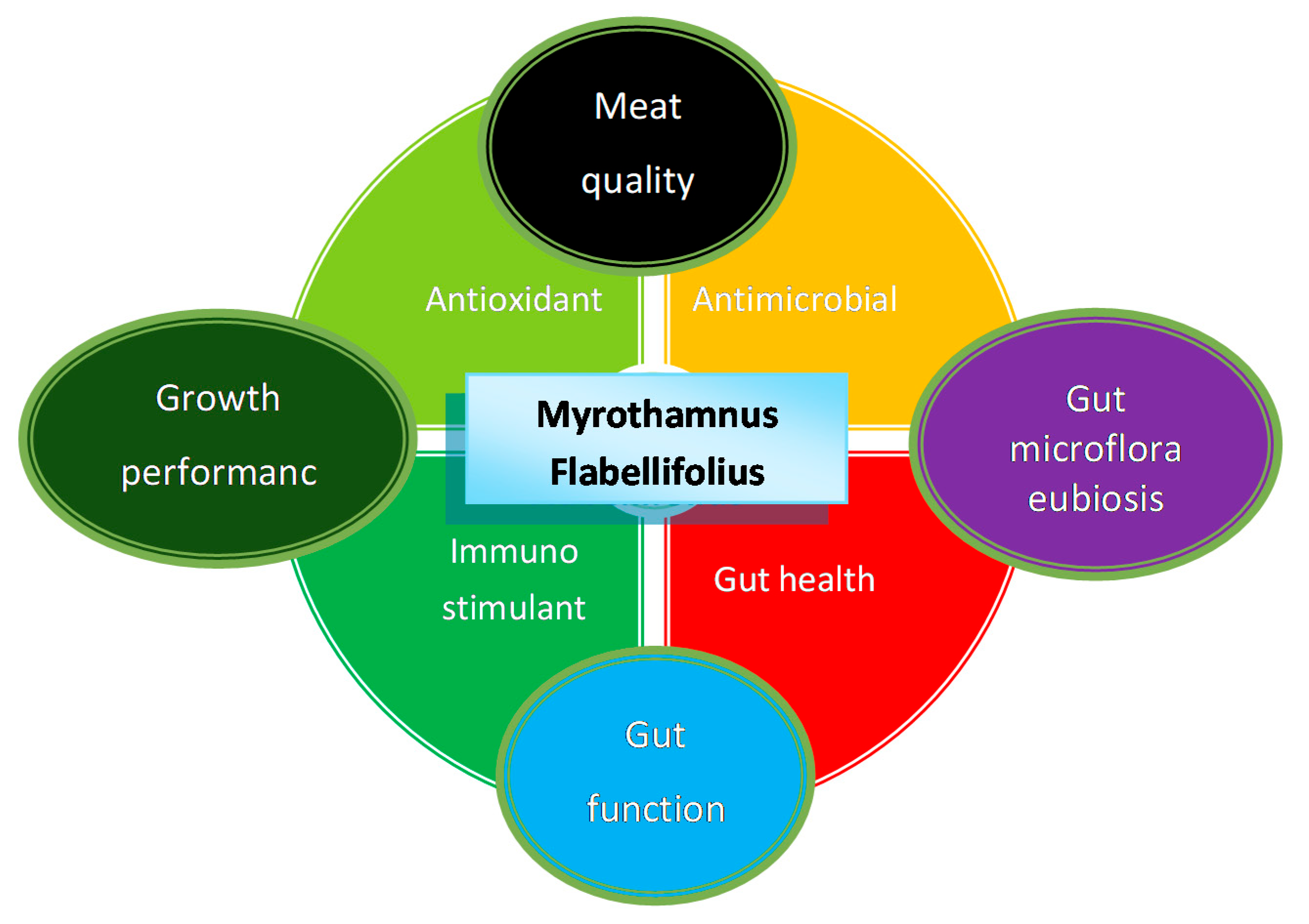 Animals 12 01973 g001