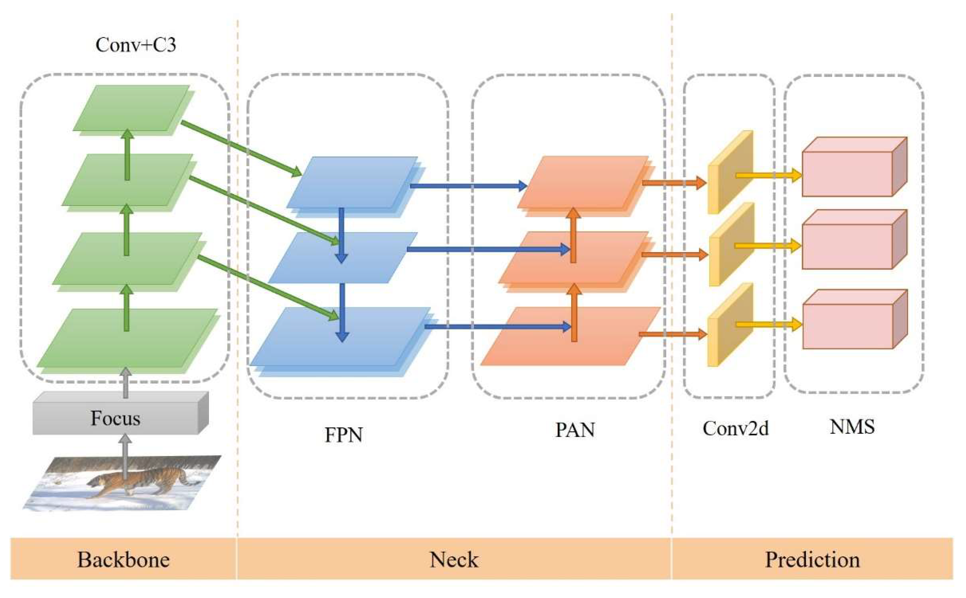 Animals 12 01976 g002