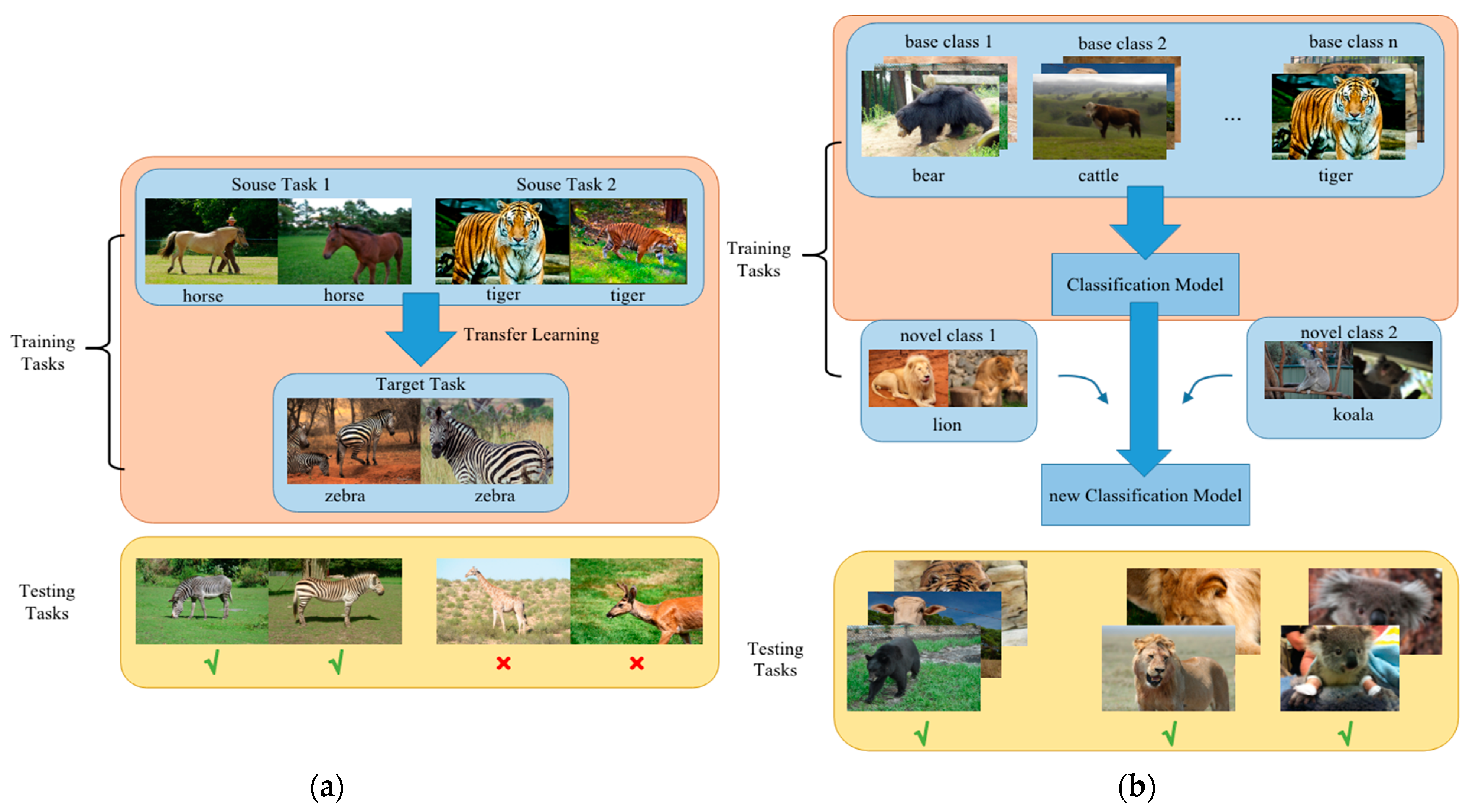 Animals 12 01980 g001