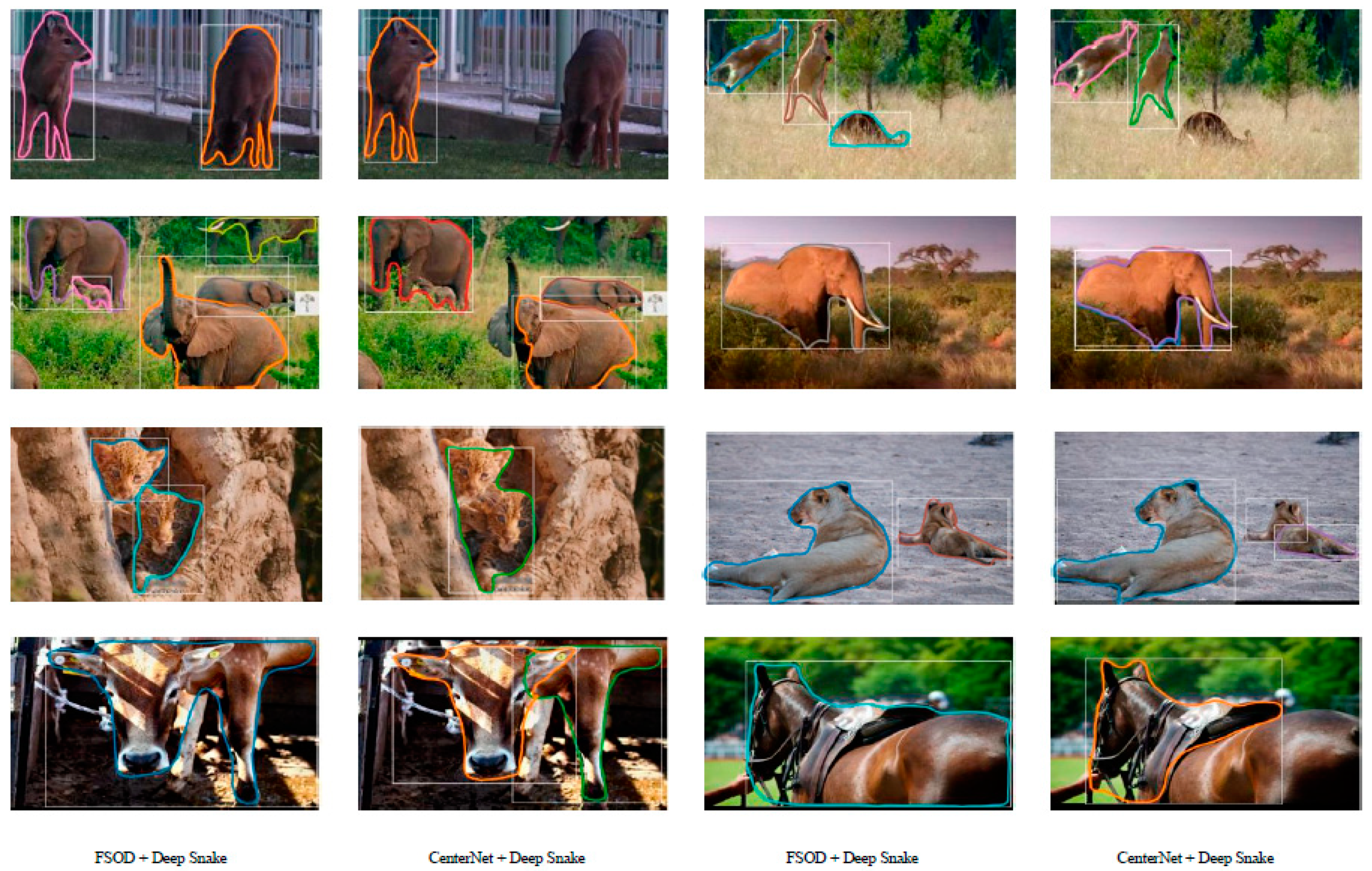 Animals 12 01980 g010