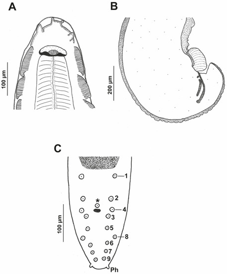 Animals 12 01991 g002