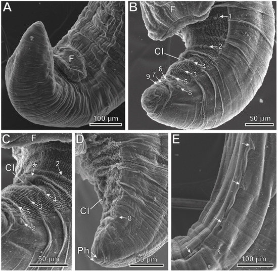 Animals 12 01991 g004