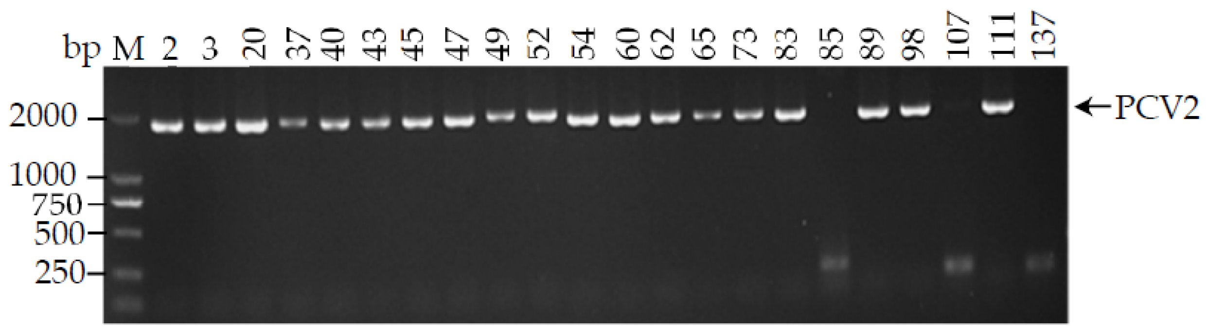 Animals 12 02021 g002