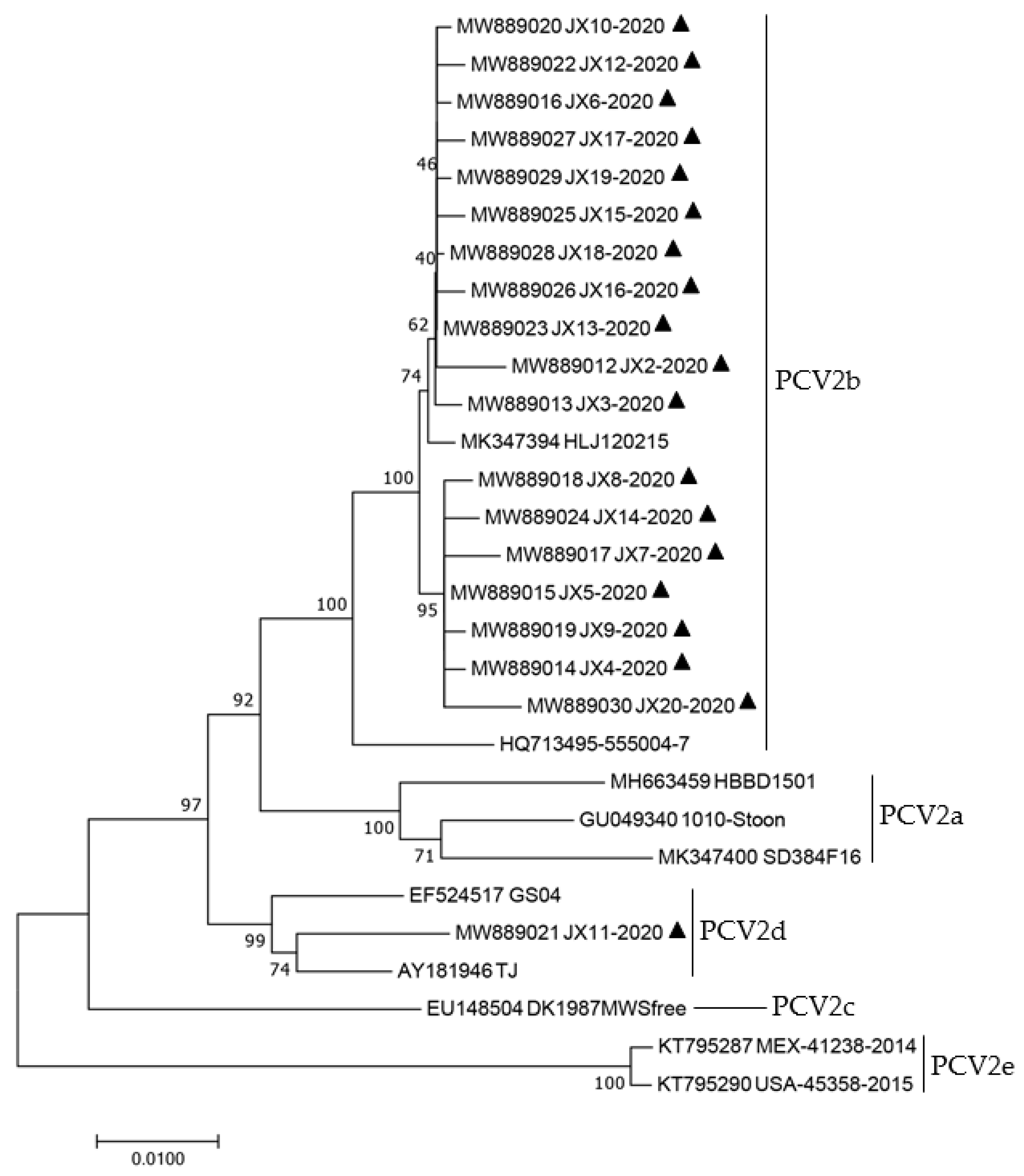 Animals 12 02021 g003