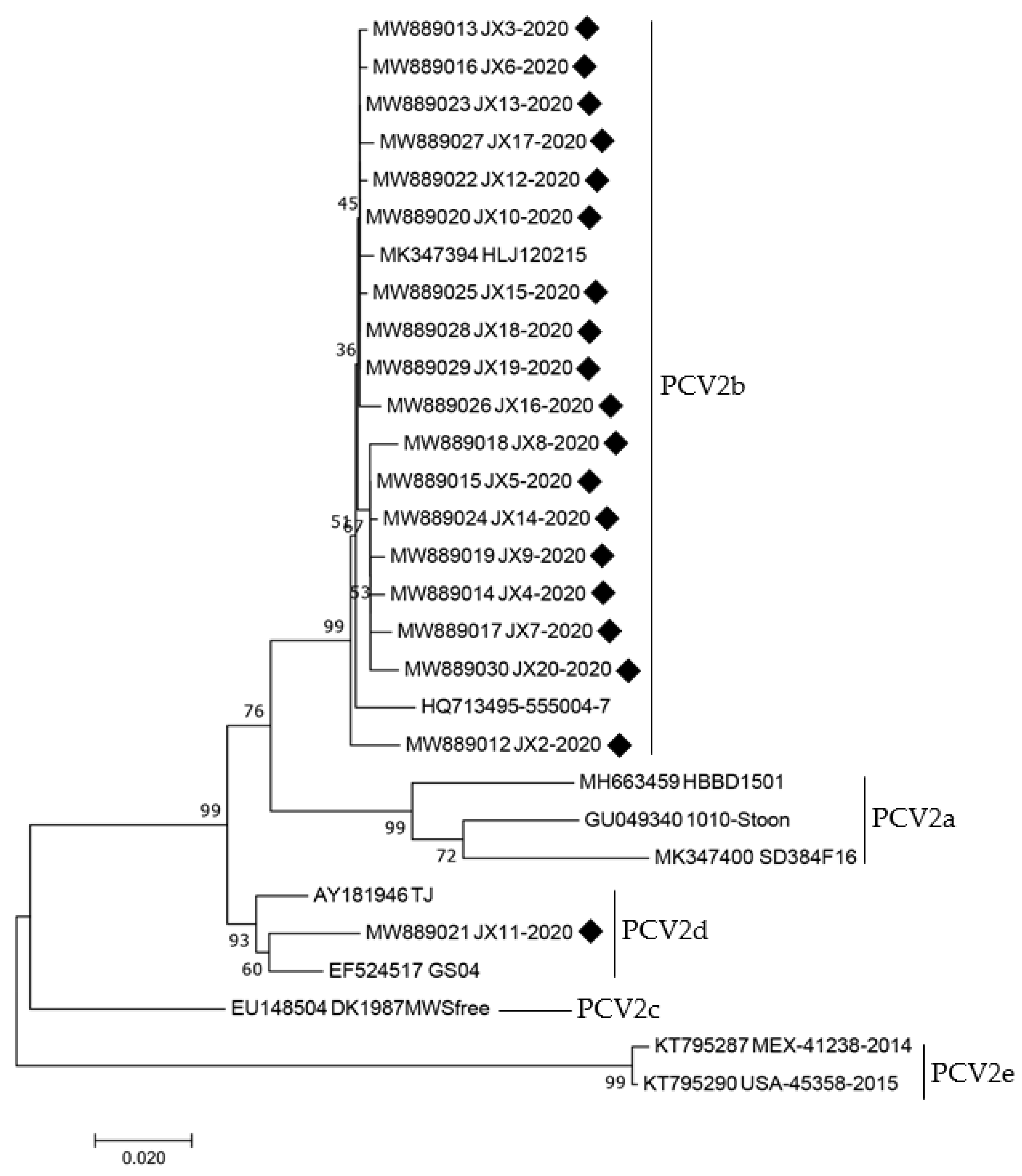 Animals 12 02021 g004