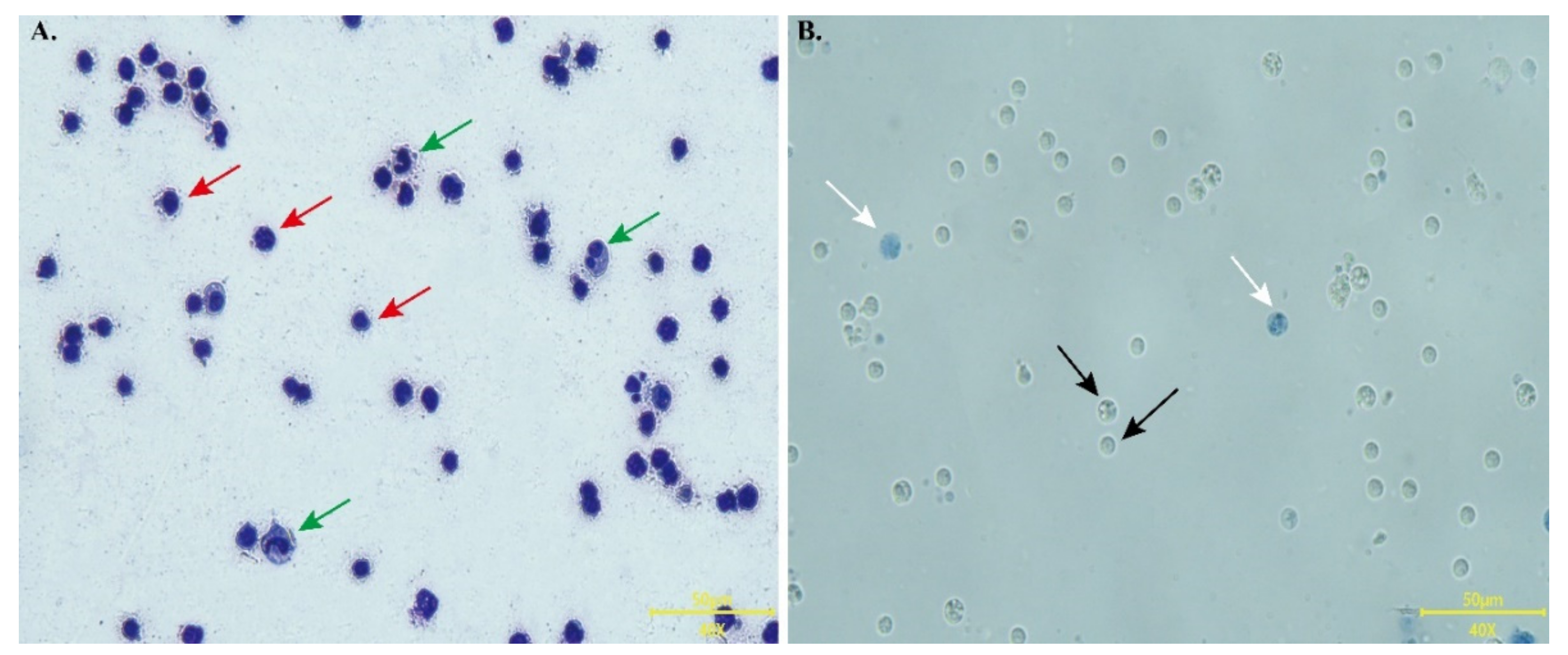 Animals 12 02037 g005 Animals 12 02037 g005