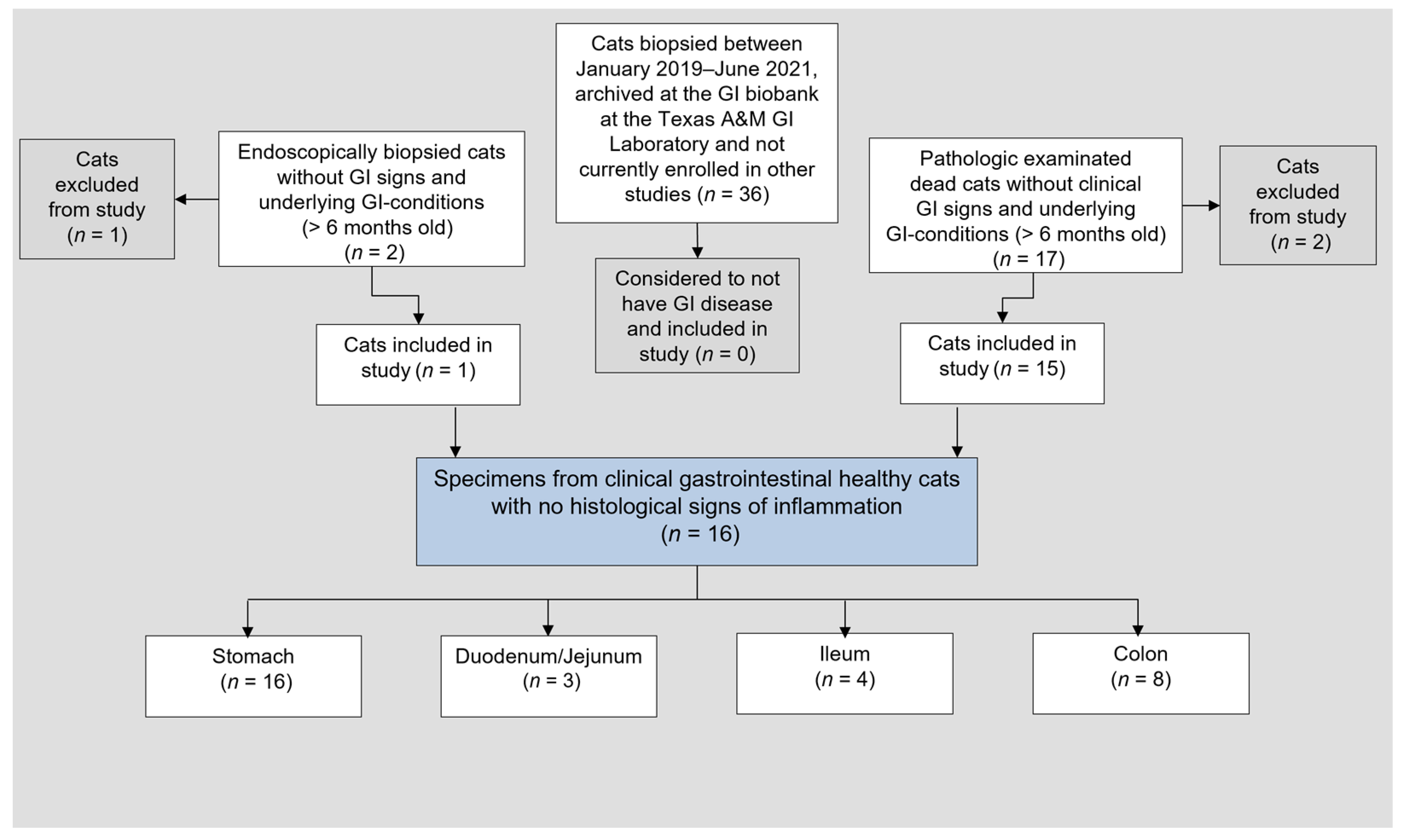 Animals 12 02044 g002