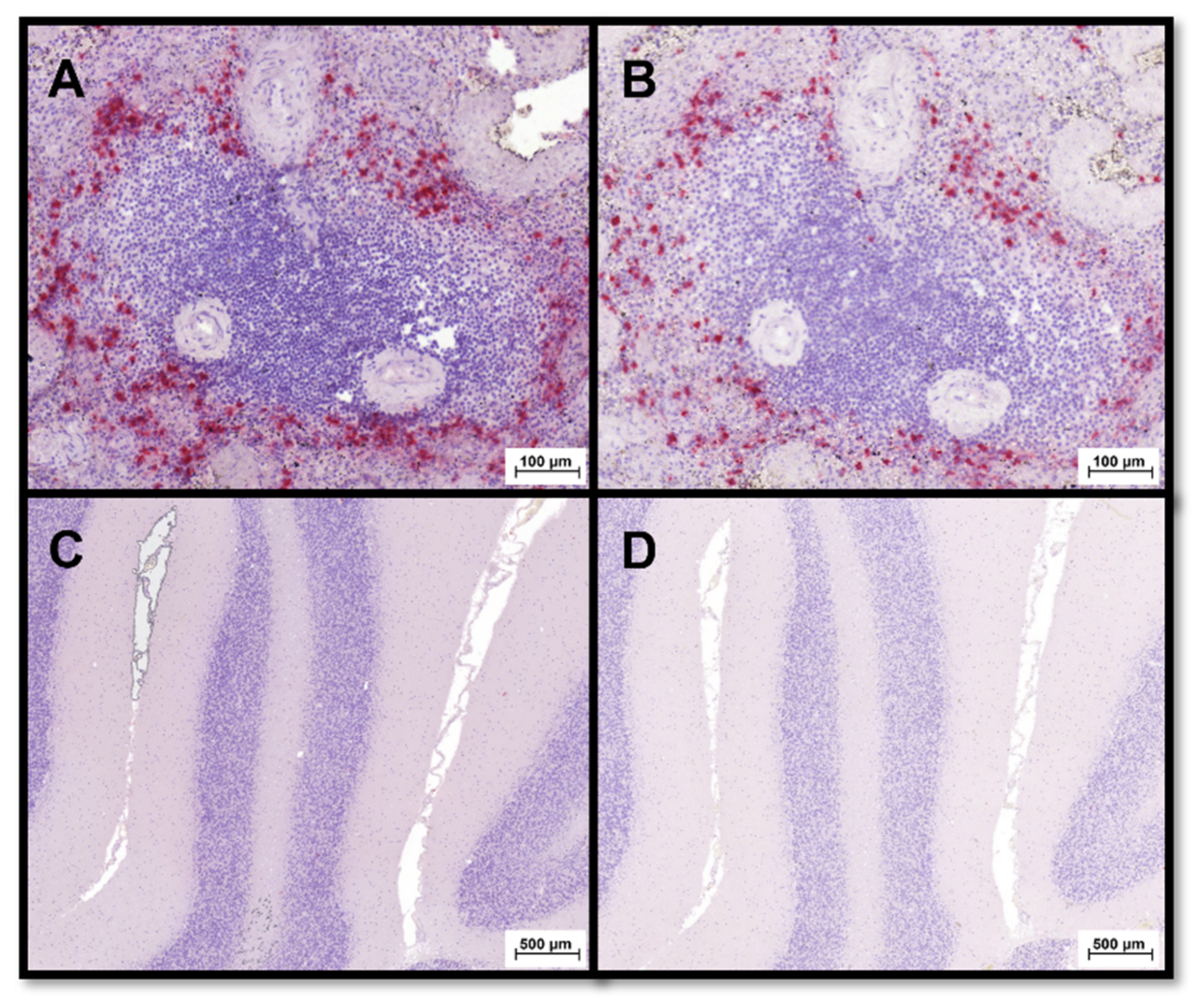 Animals 12 02044 g003