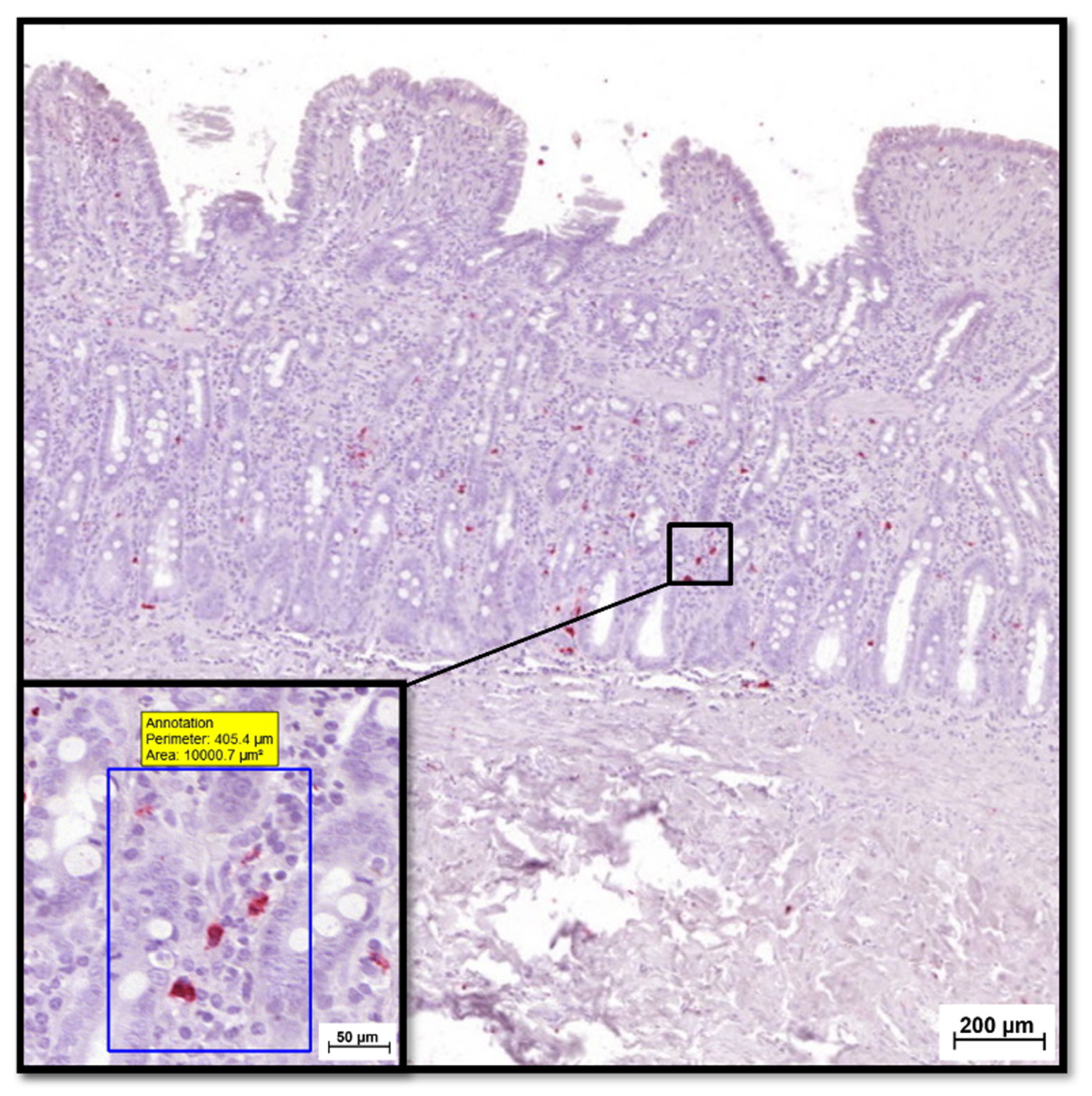 Animals 12 02044 g004